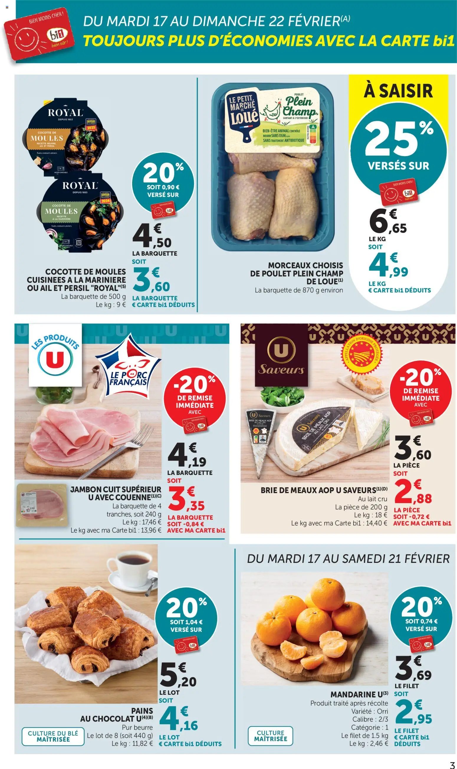 bi1 catalogue maxi marché