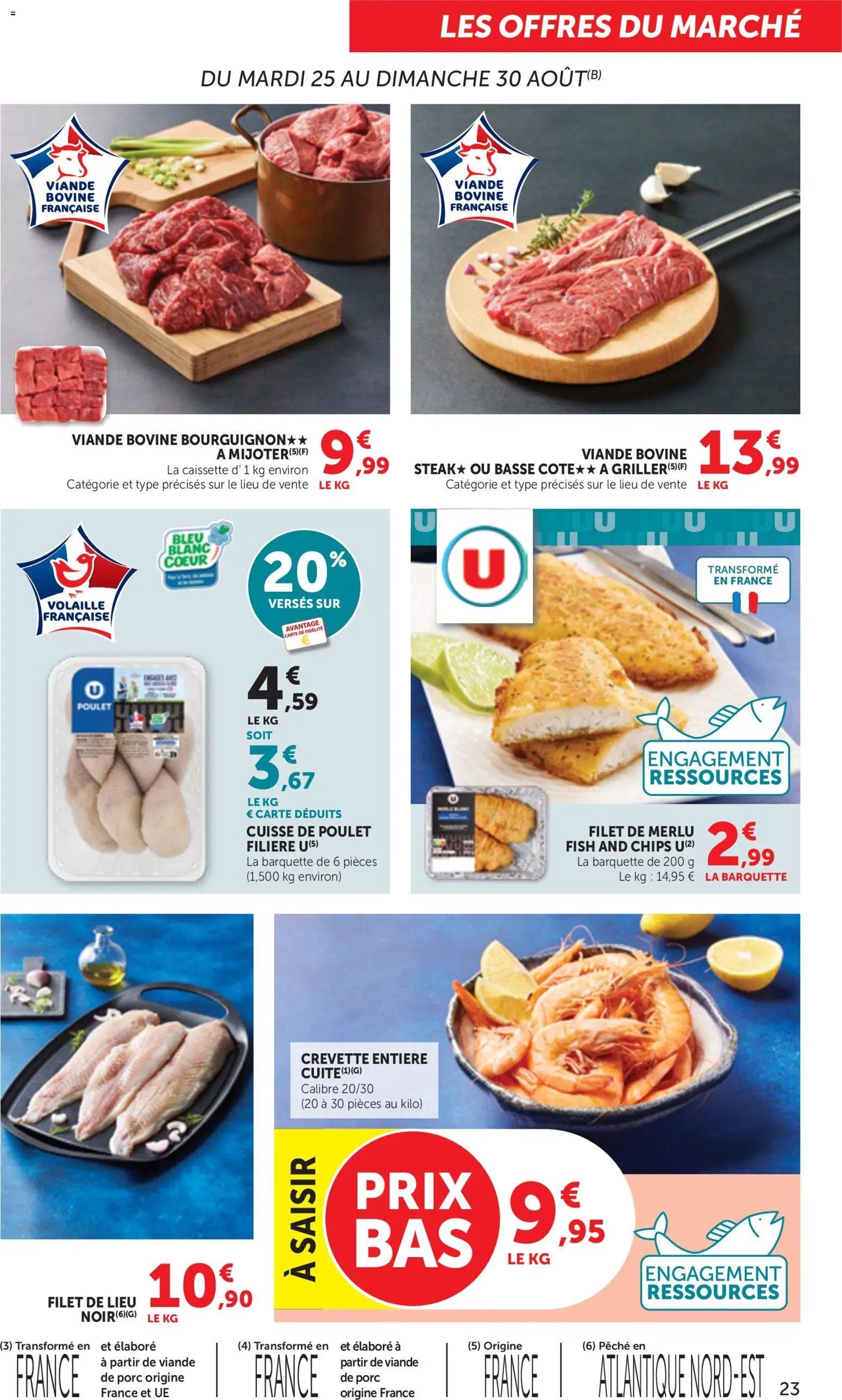 bi1 Catalogue