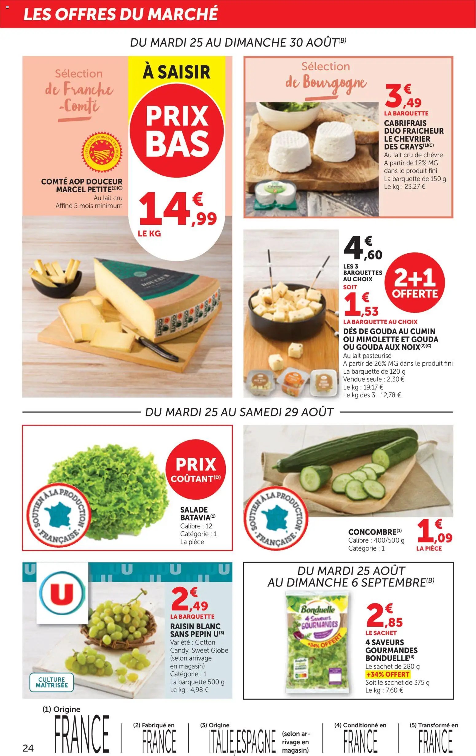 bi1 Catalogue