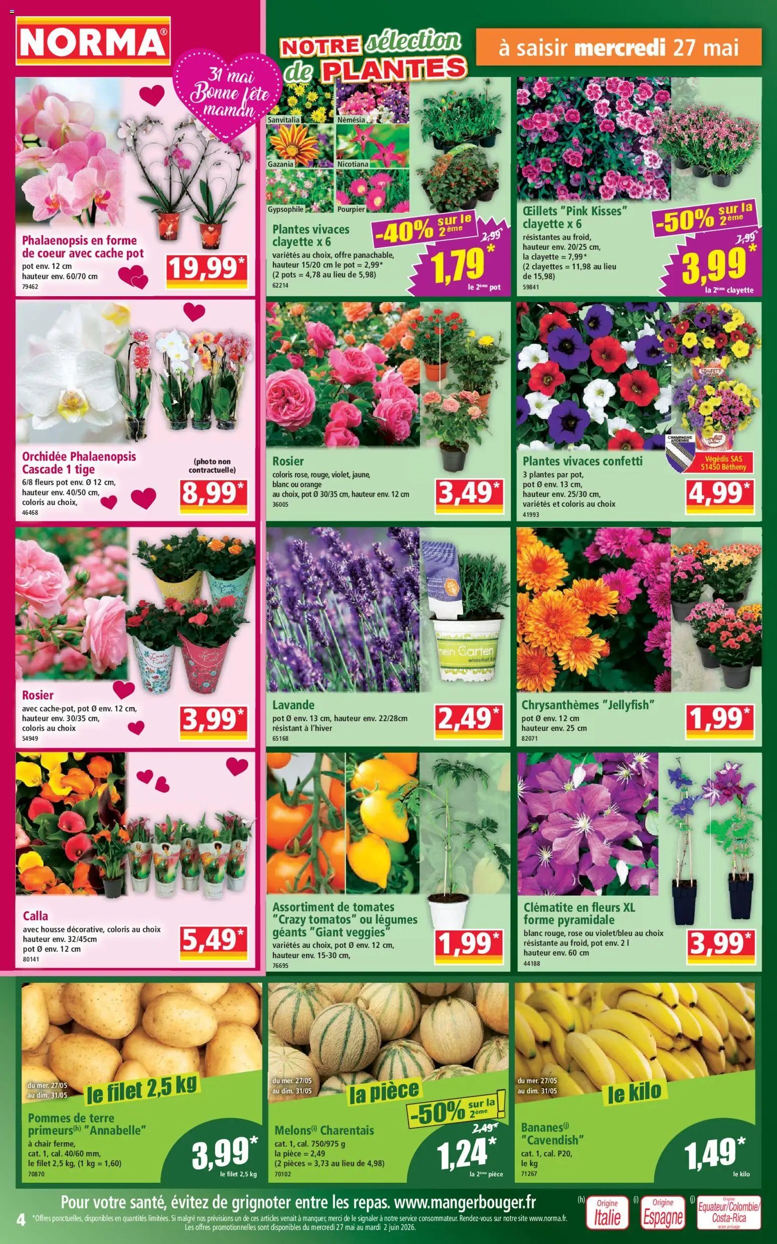 Norma catalogue (2026-05-27 - 2026-06-02)