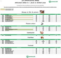 Promocash Opportunités Marée