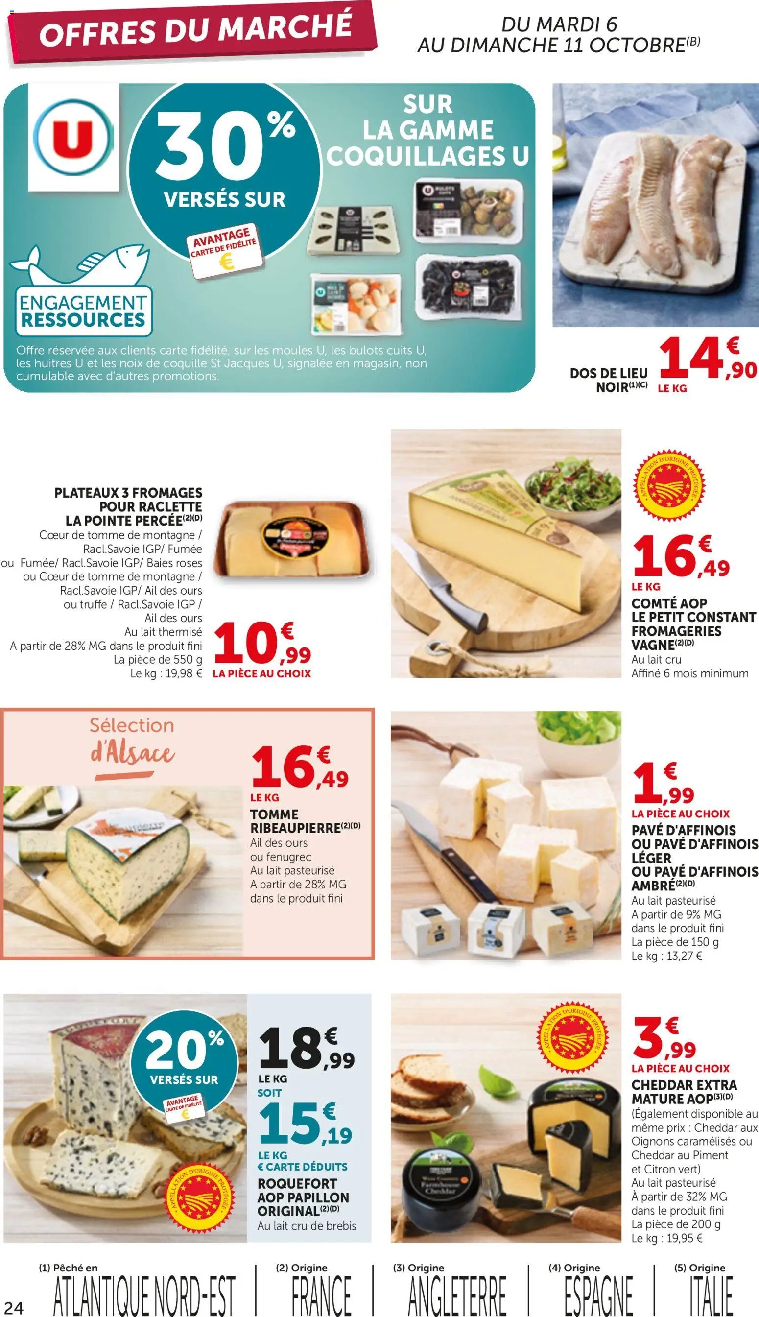 bi1 catalogue