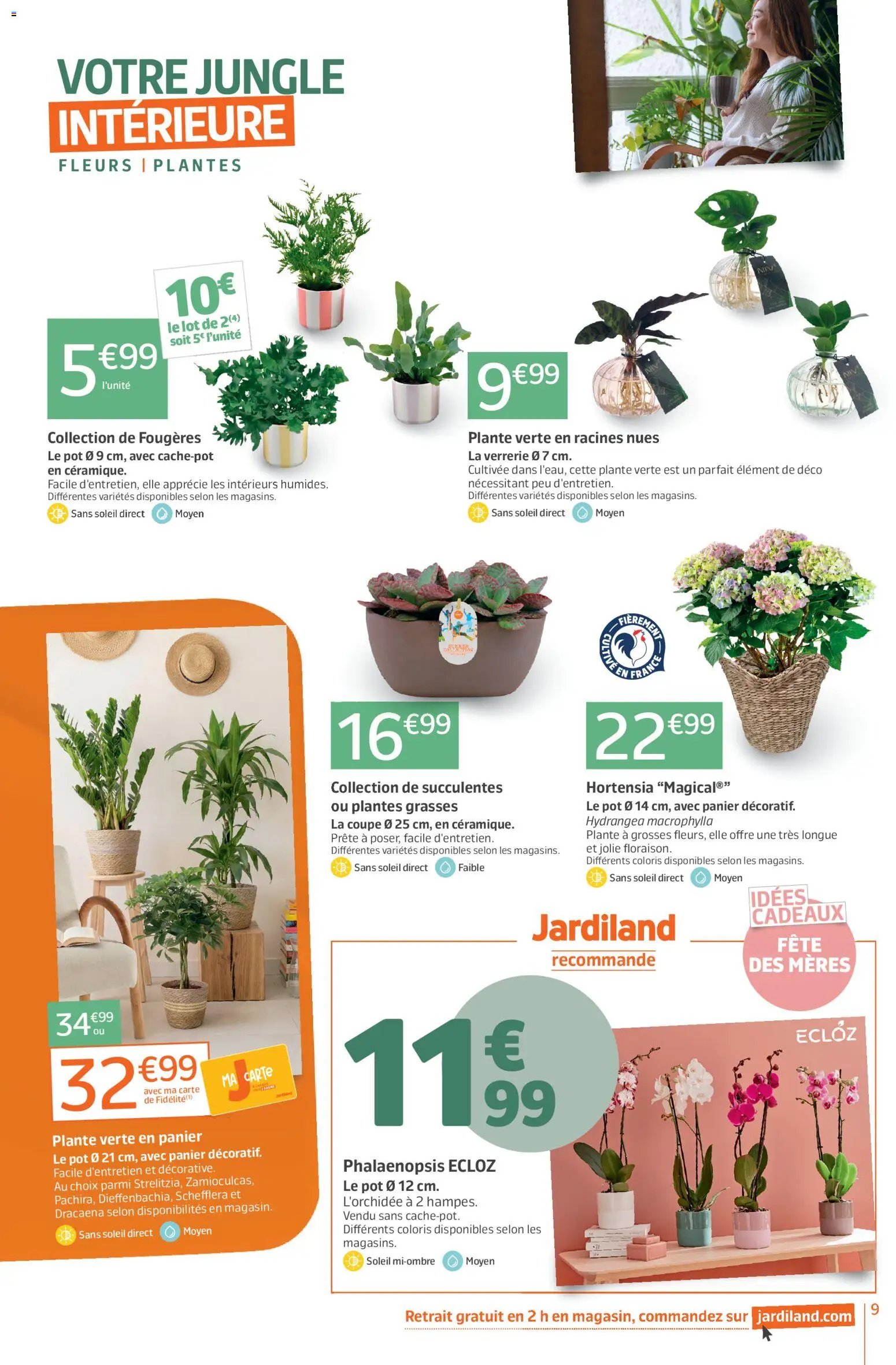 Jardiland catalogue