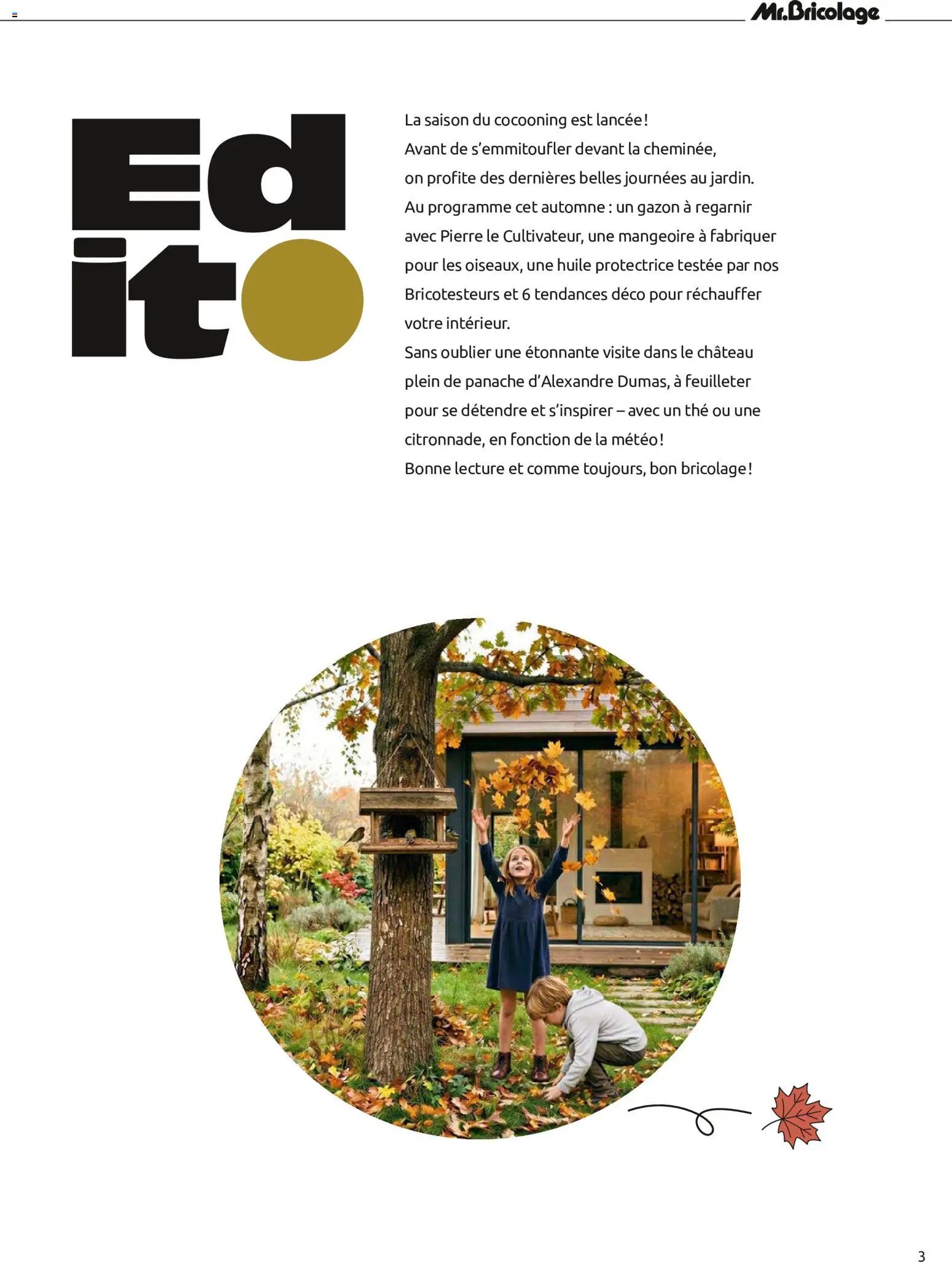 Mr. Bricolage catalogue Automne