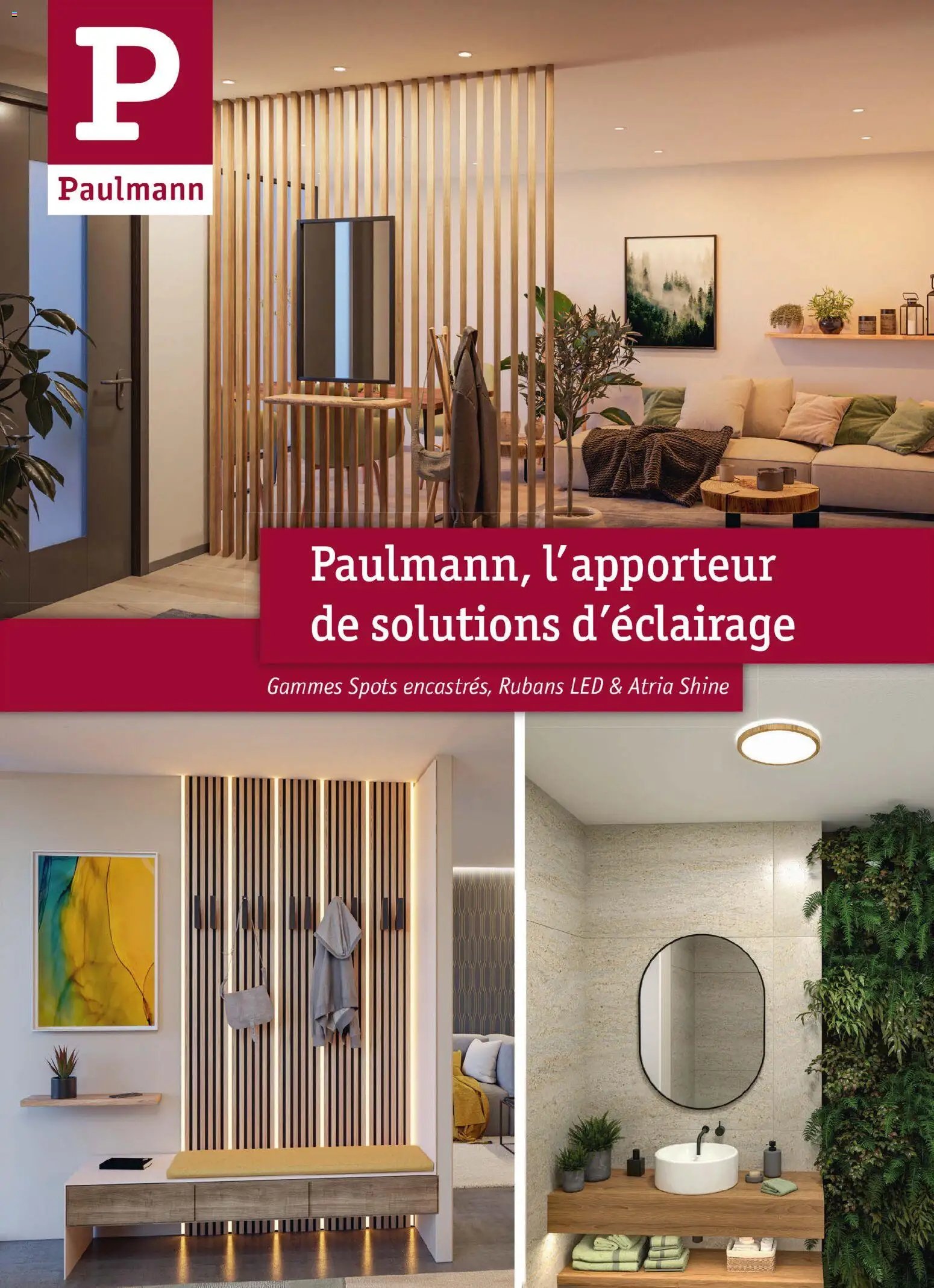 Mr. Bricolage catalogue Automne