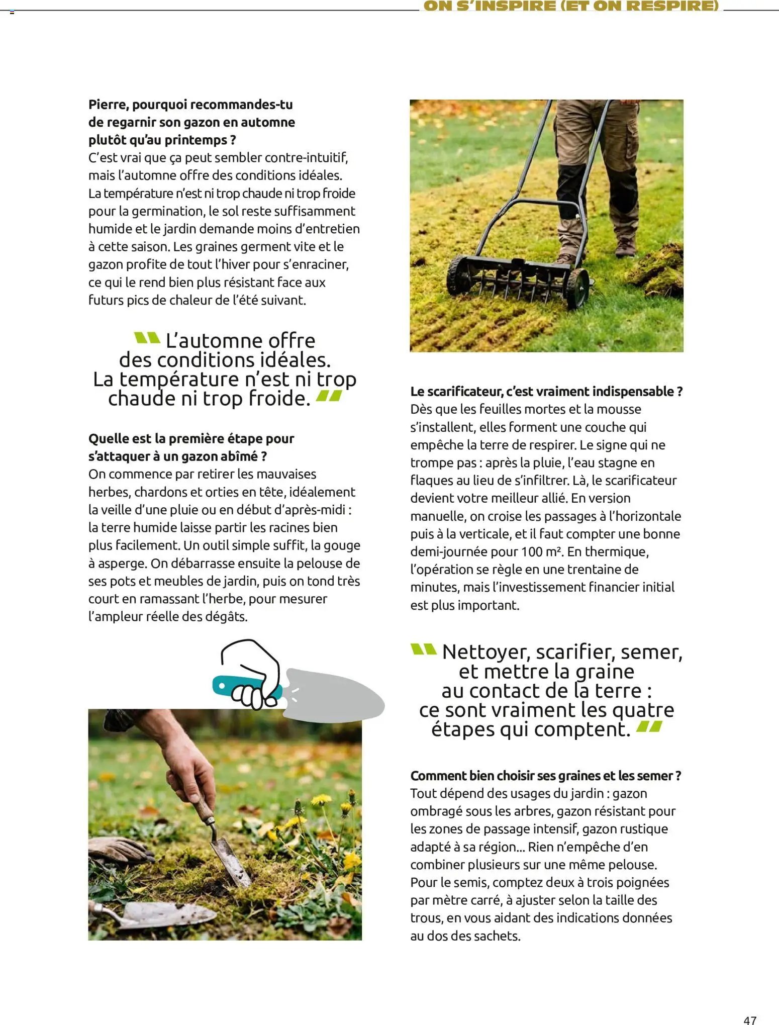 Mr. Bricolage catalogue Automne