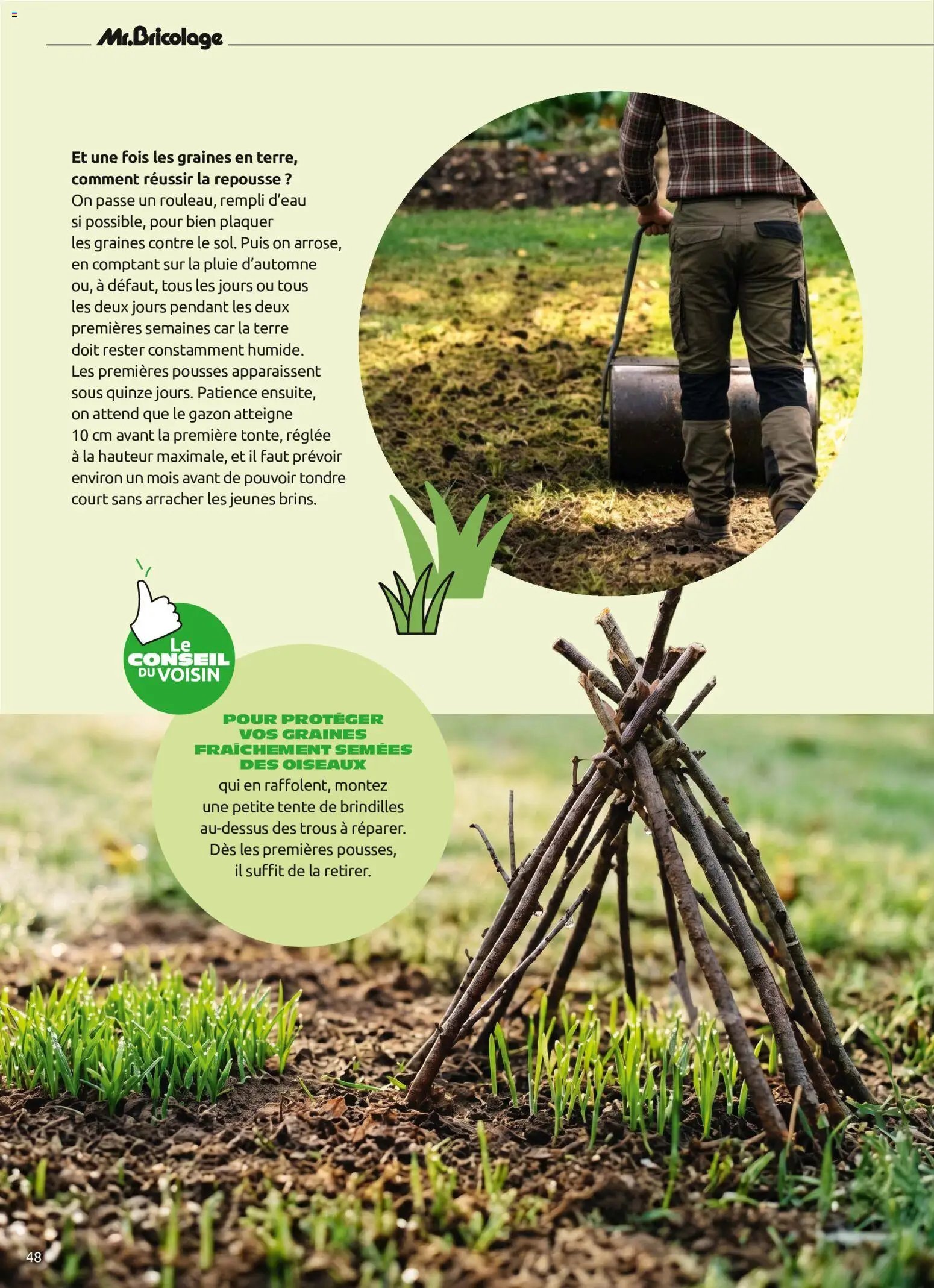 Mr. Bricolage catalogue Automne