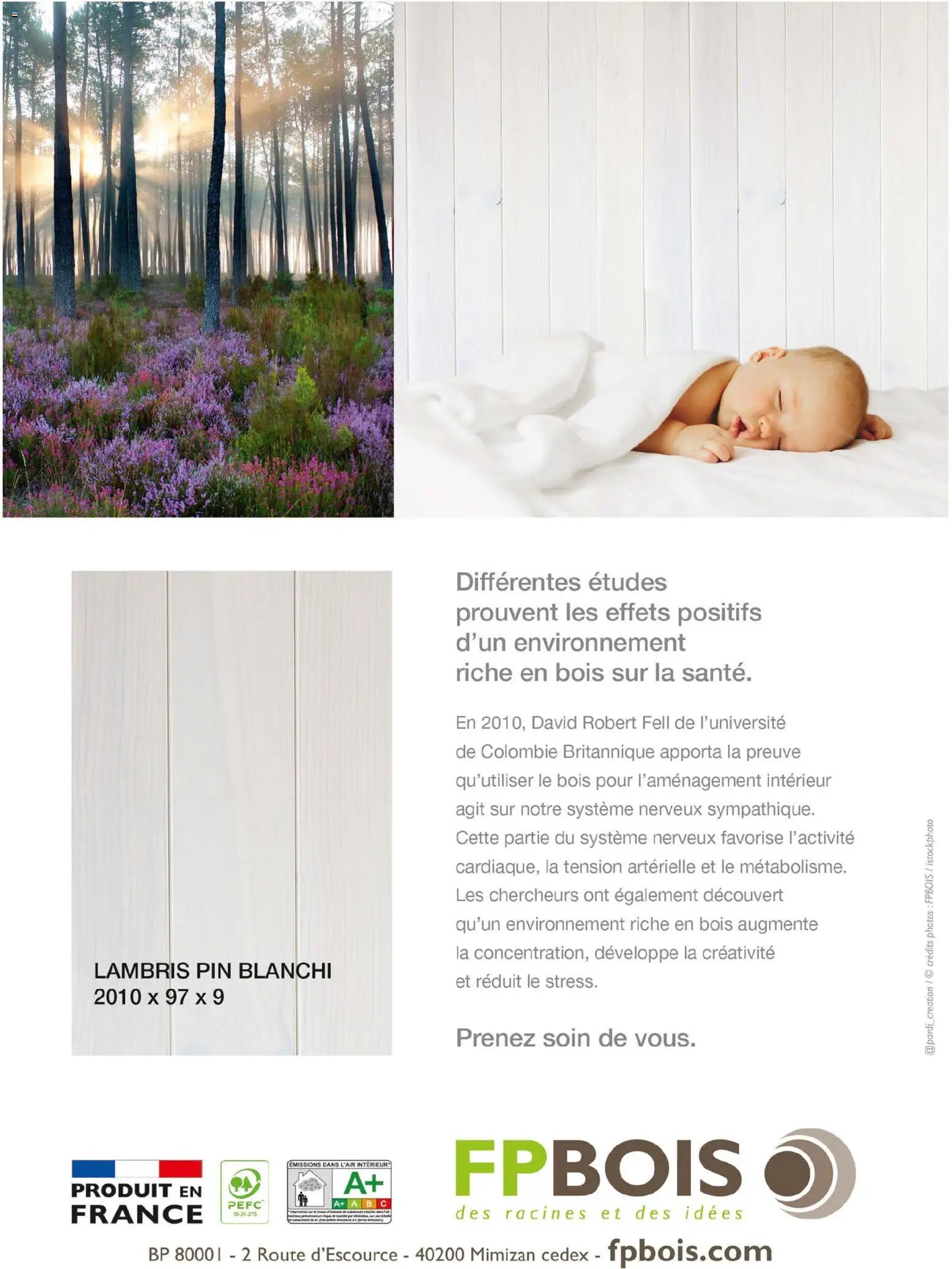 Mr. Bricolage catalogue Automne