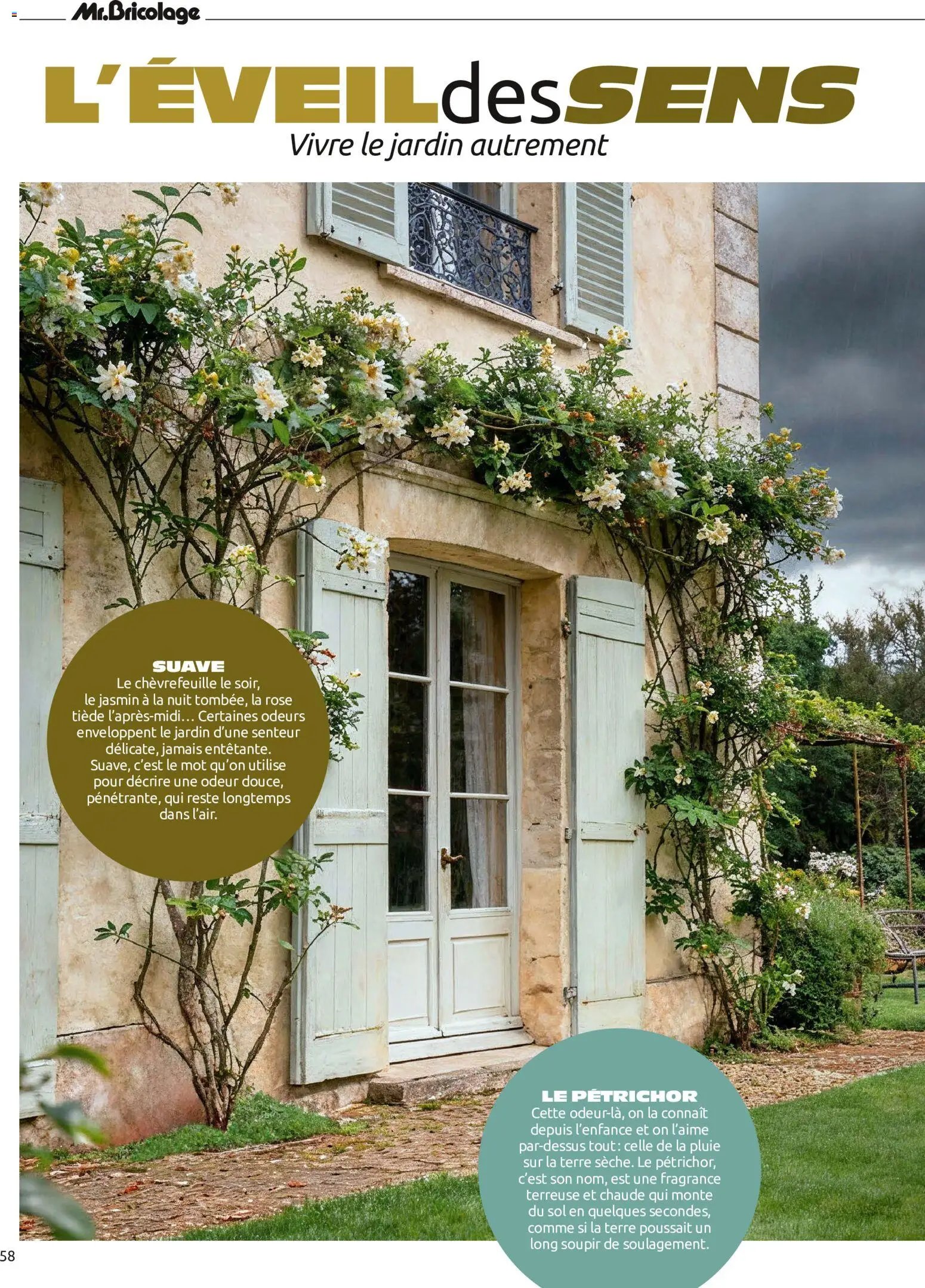 Mr. Bricolage catalogue Automne
