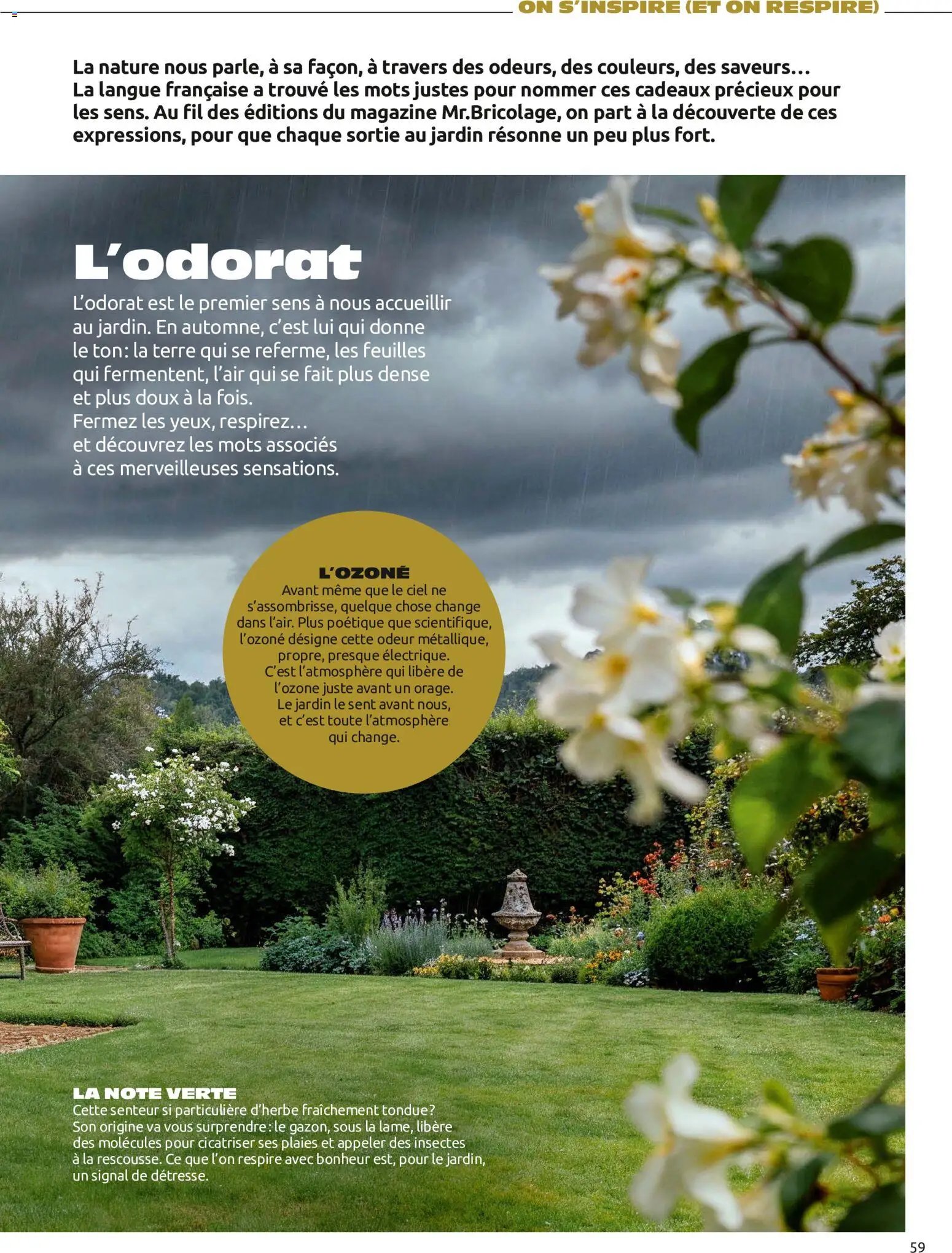 Mr. Bricolage catalogue Automne