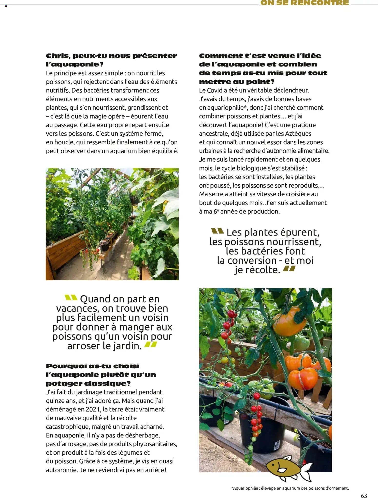 Mr. Bricolage catalogue Automne