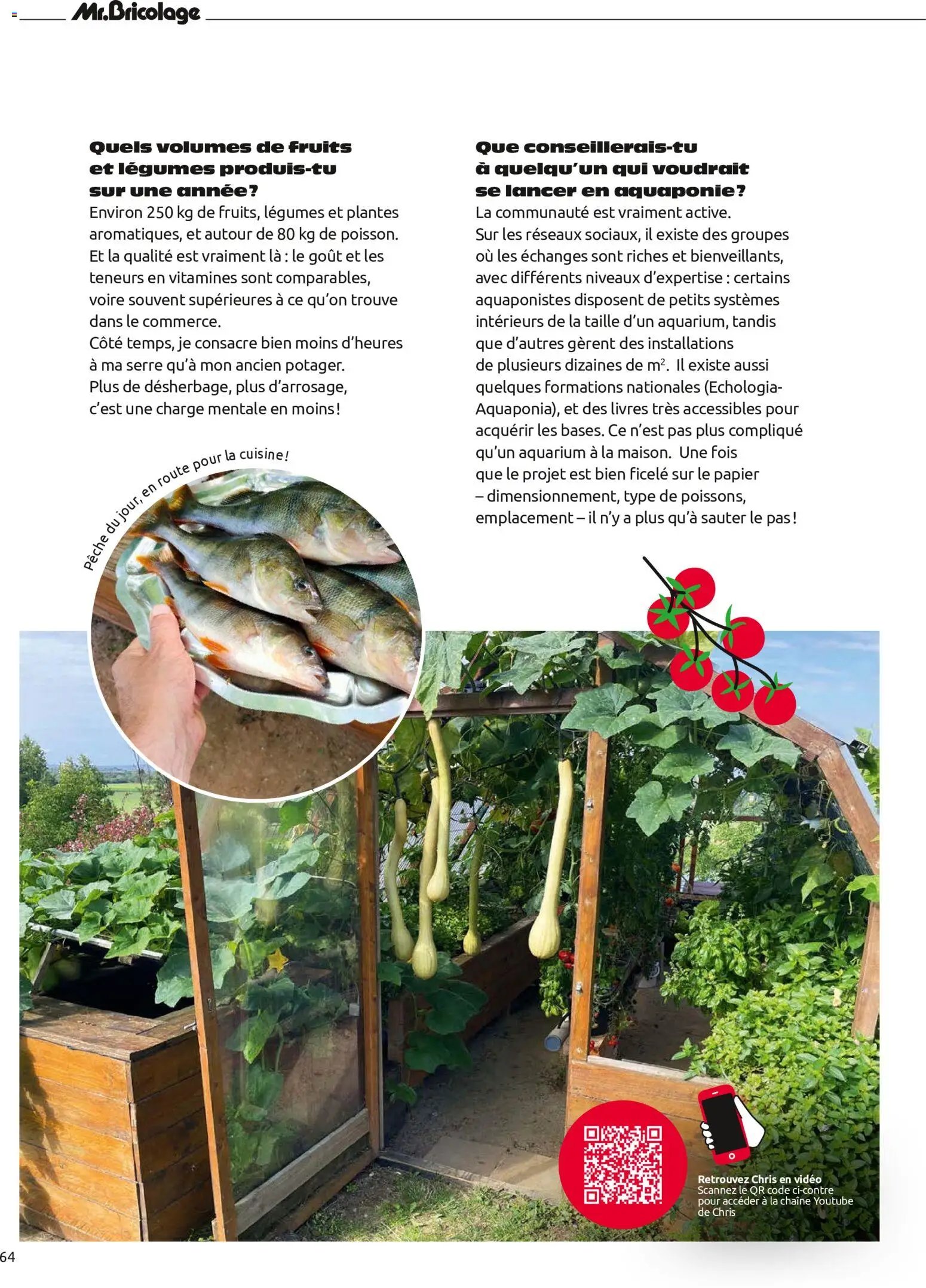 Mr. Bricolage catalogue Automne
