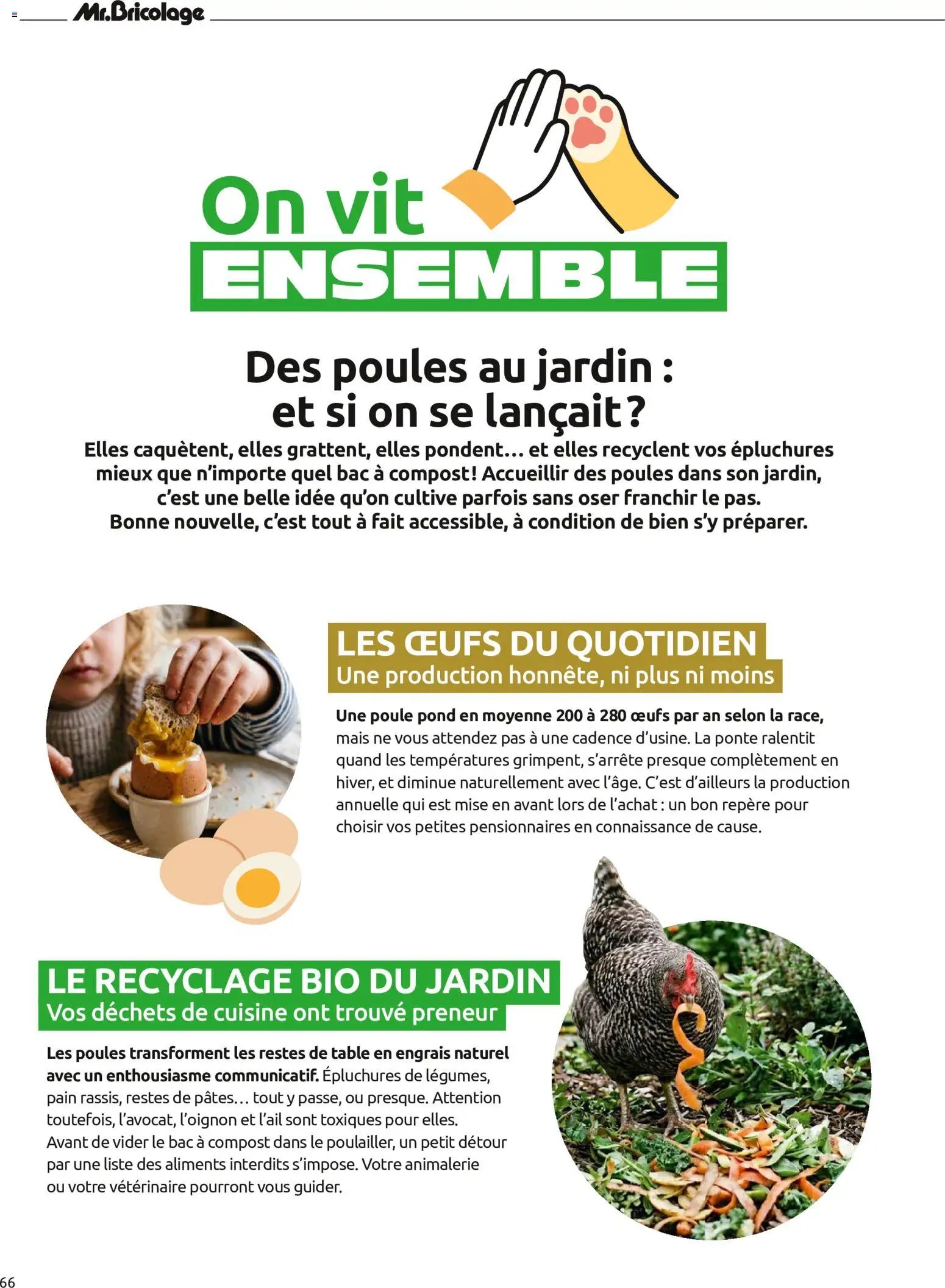 Mr. Bricolage catalogue Automne