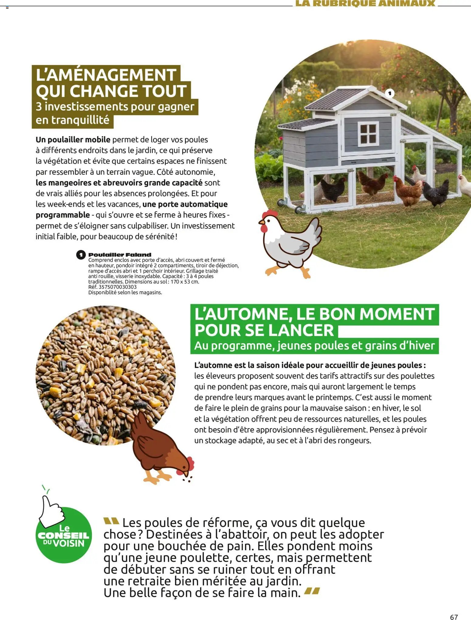 Mr. Bricolage catalogue Automne