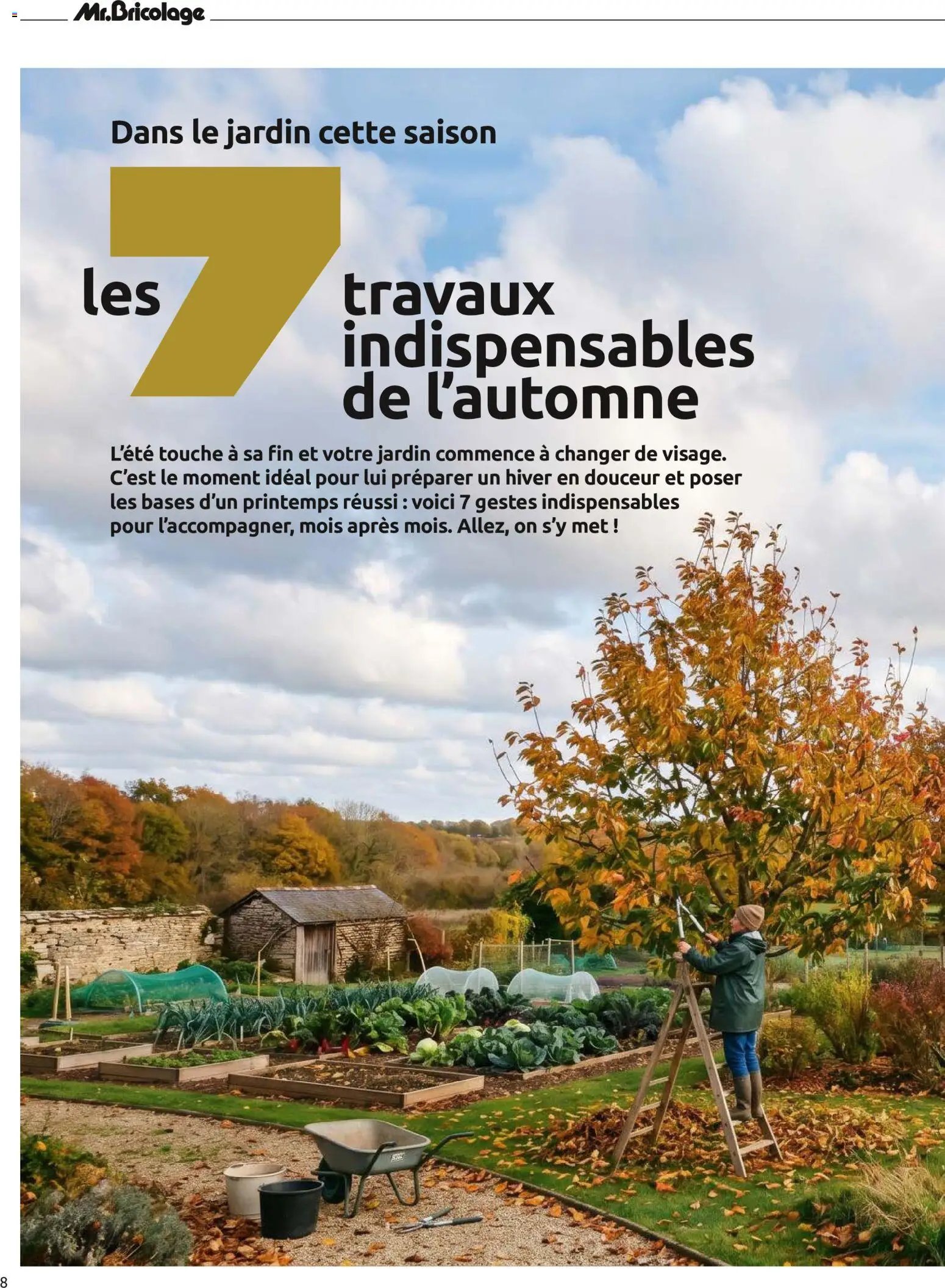 Mr. Bricolage catalogue Automne