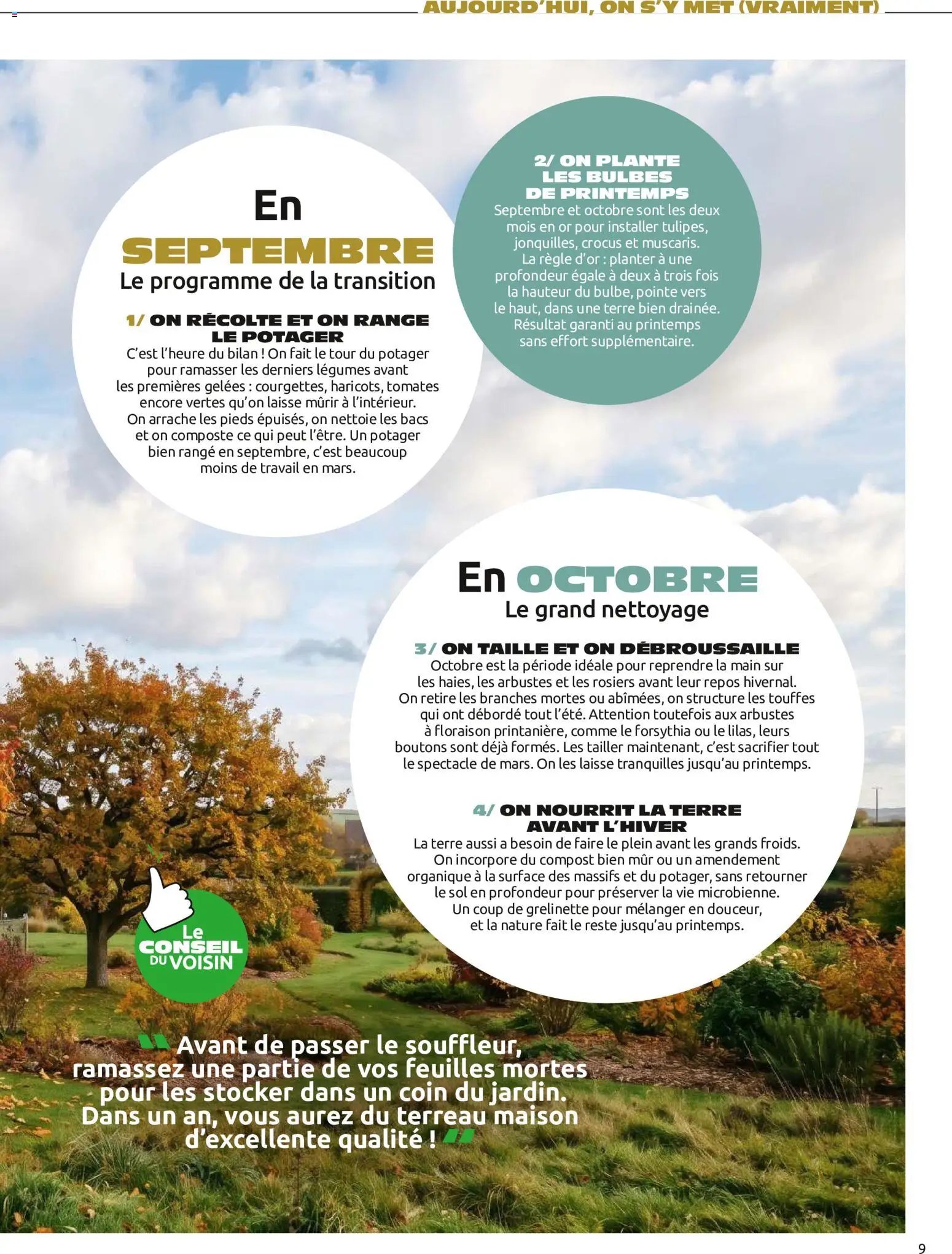 Mr. Bricolage catalogue Automne