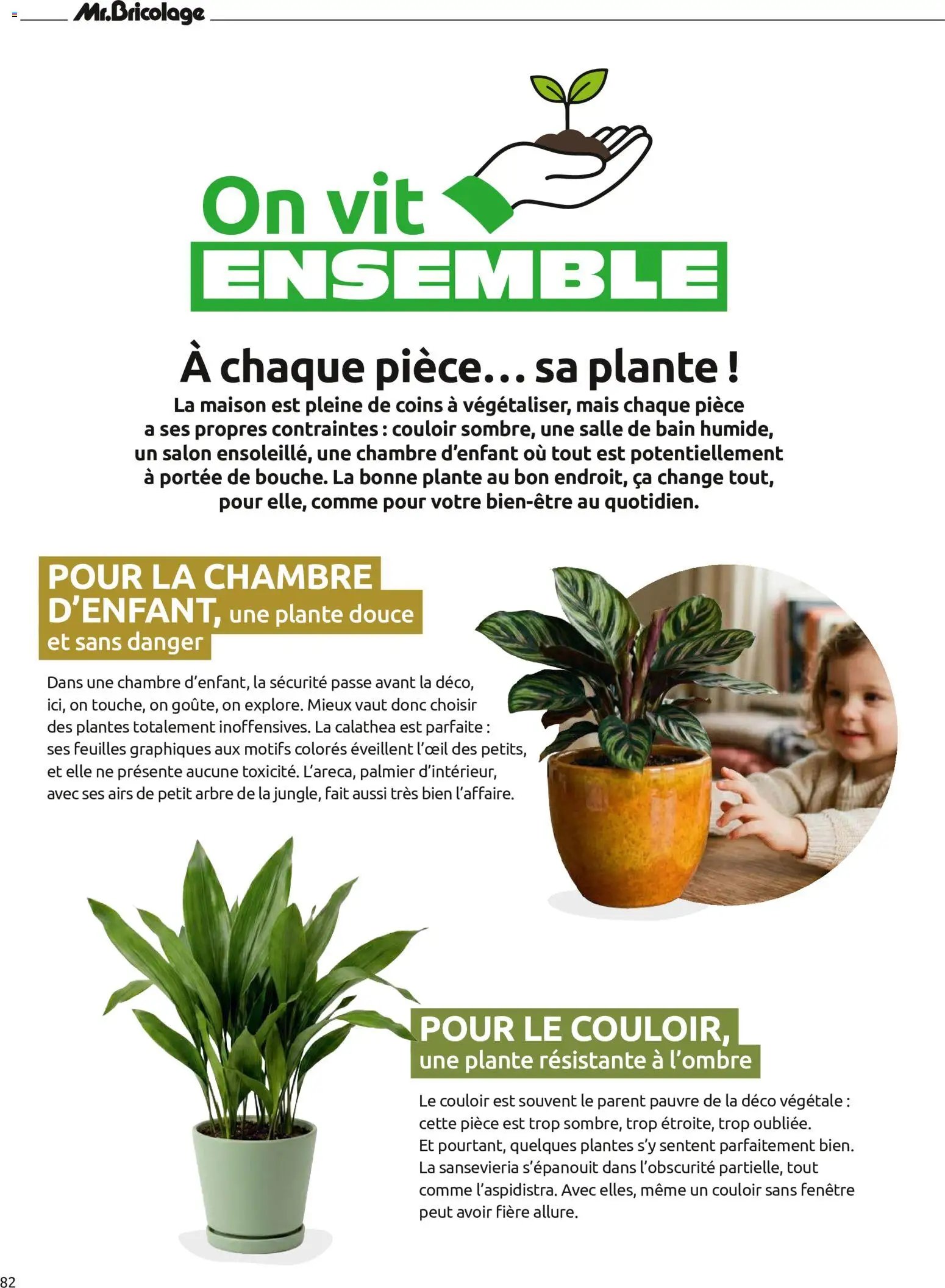 Mr. Bricolage catalogue Automne