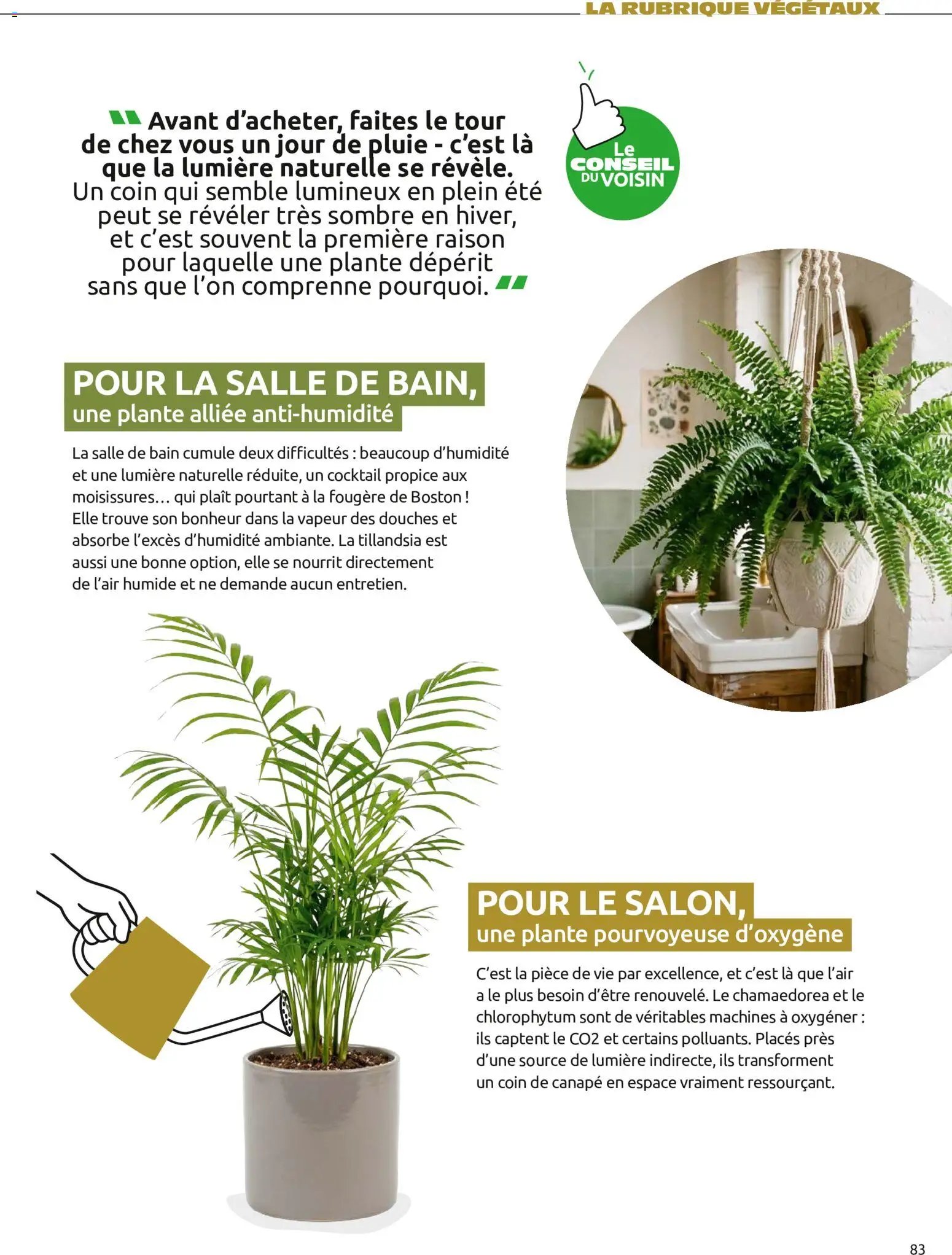 Mr. Bricolage catalogue Automne