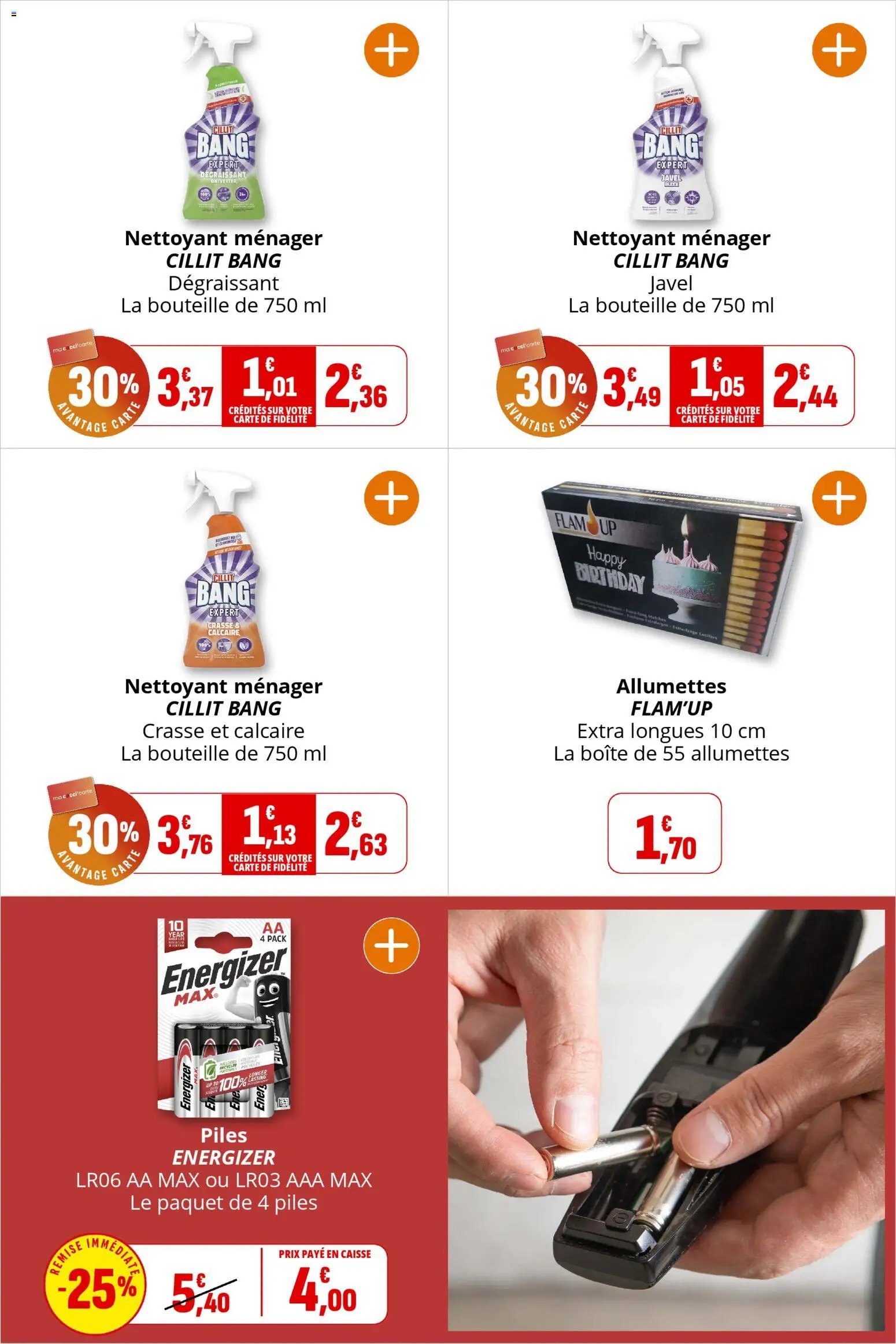 Coccinelle catalogue