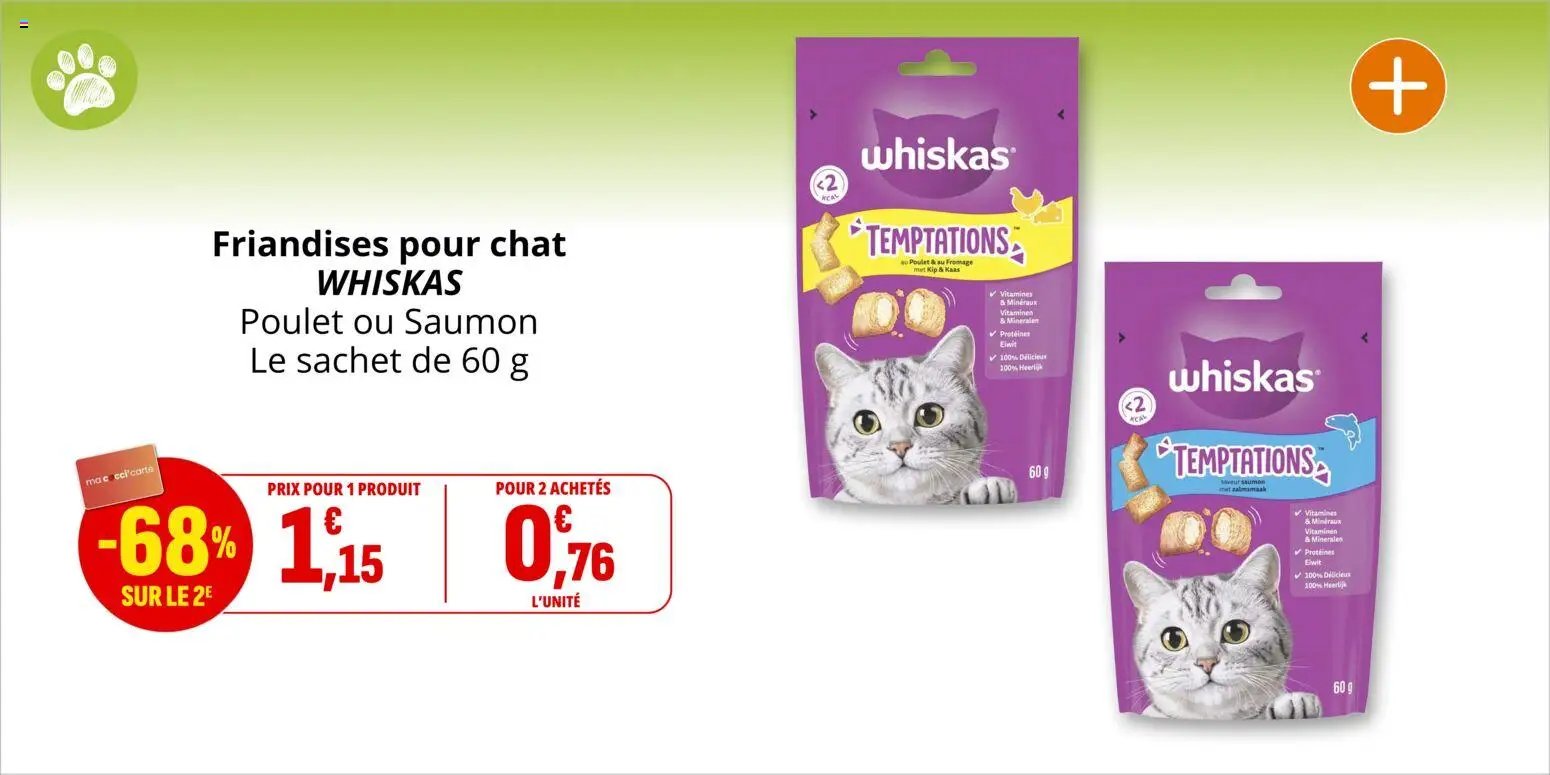 Coccinelle catalogue