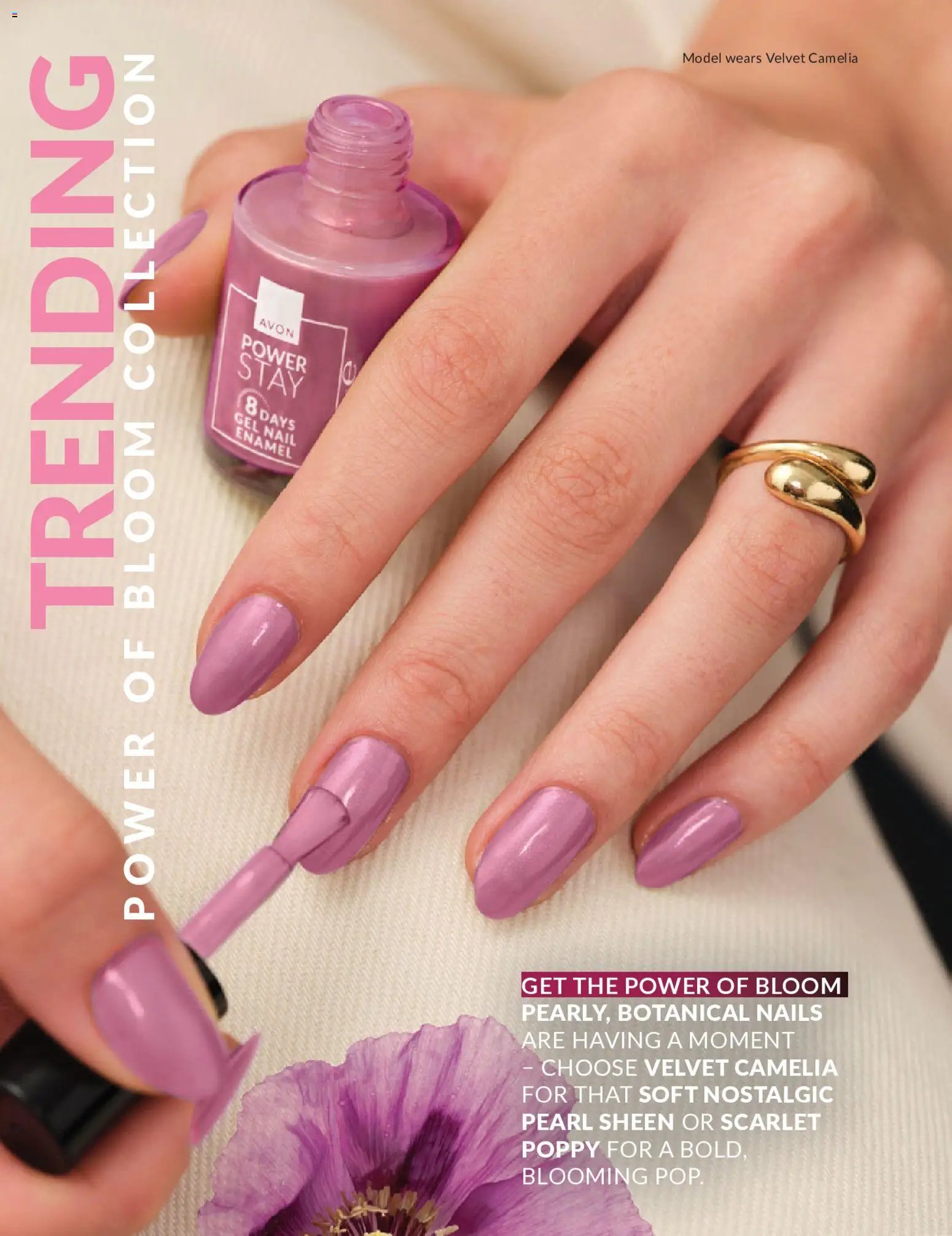 AVON - Offers
