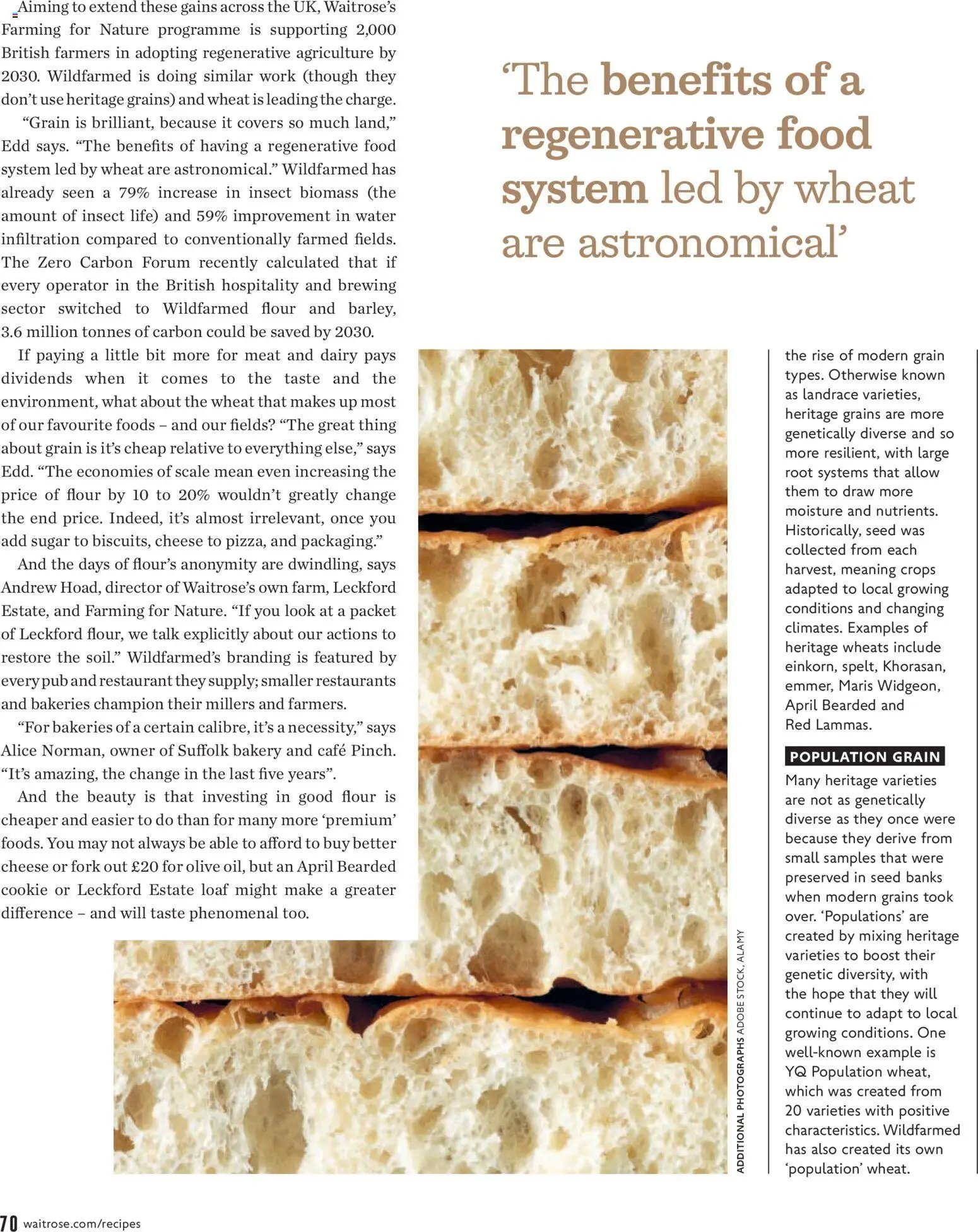 Waitrose - Offers