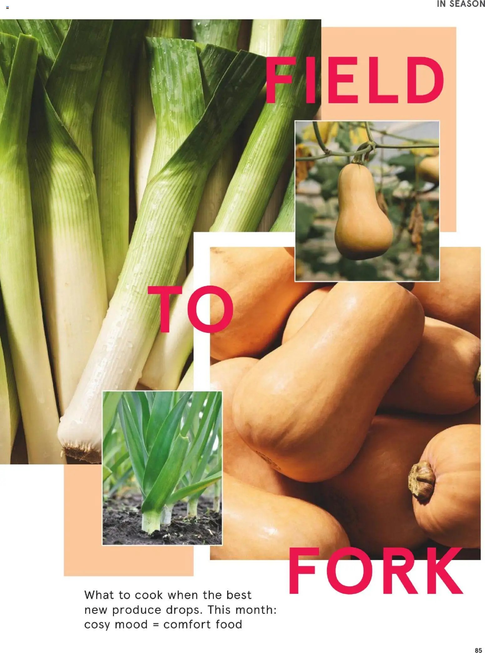 Tesco Magazine October 2026