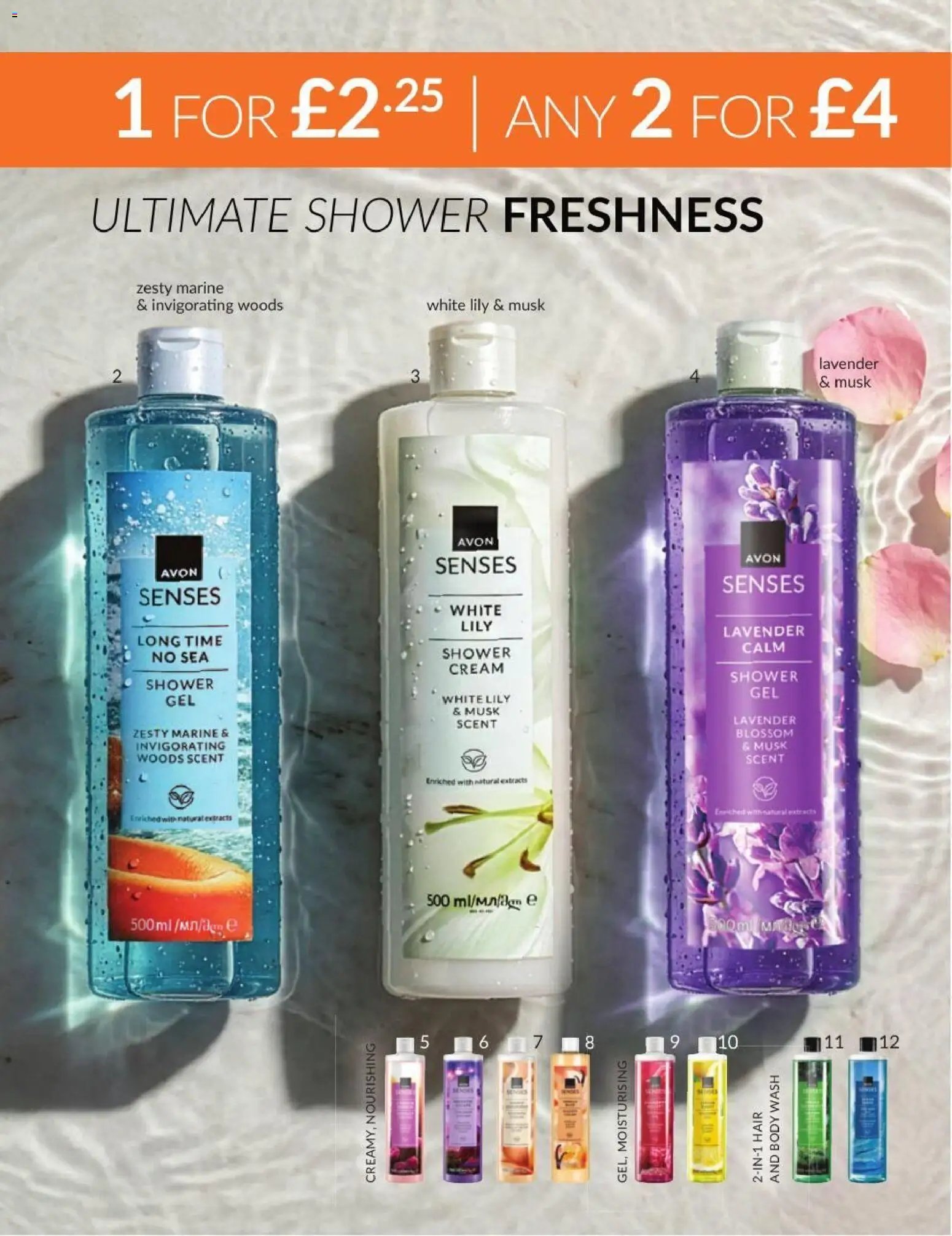 Avon - Offers
