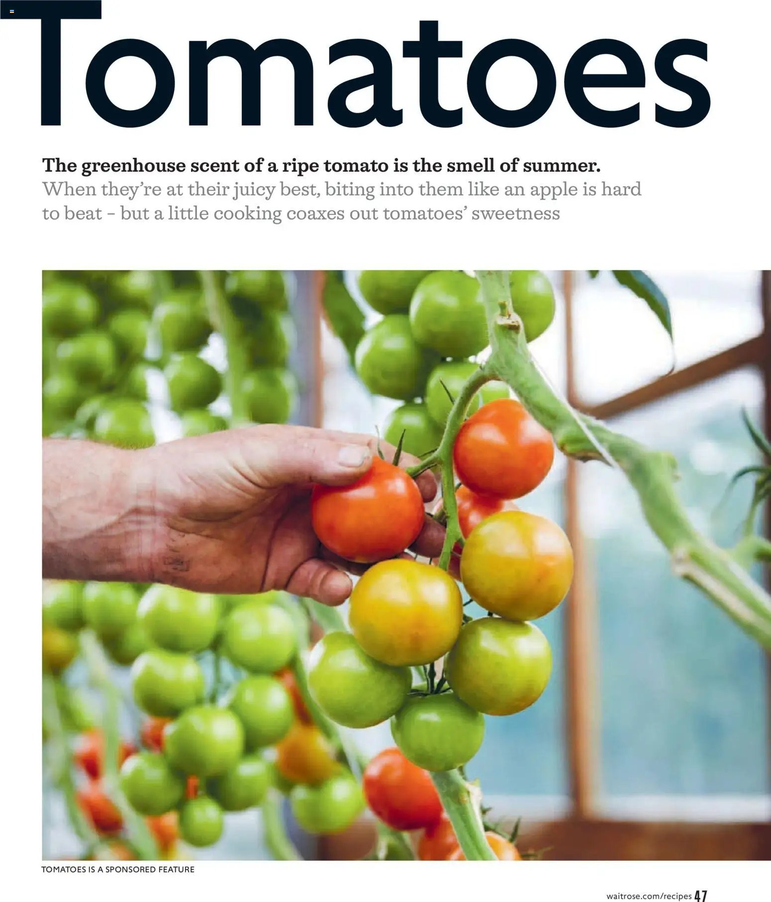 Waitrose Offers