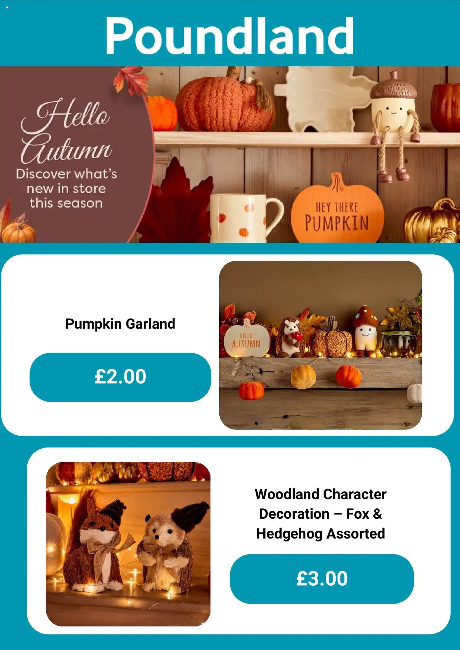 Poundland - Offers