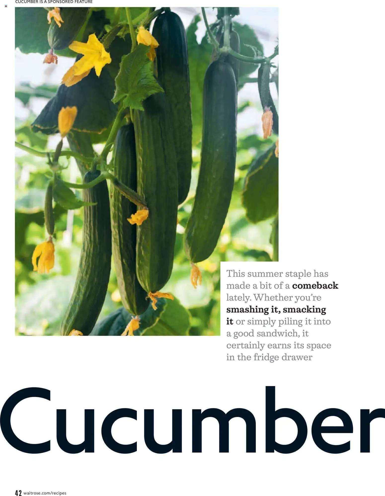 Waitrose - Offers