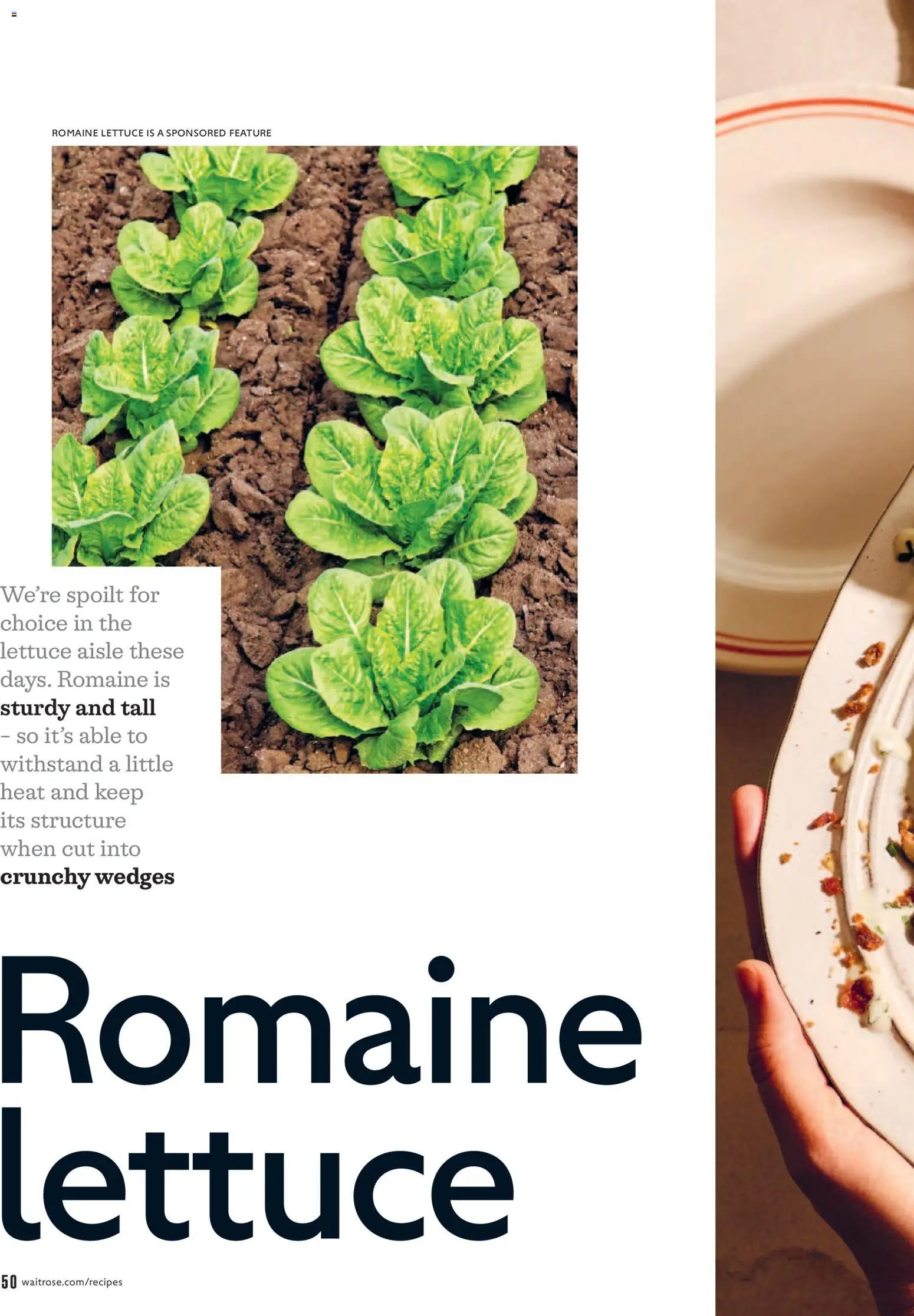 Waitrose - Offers