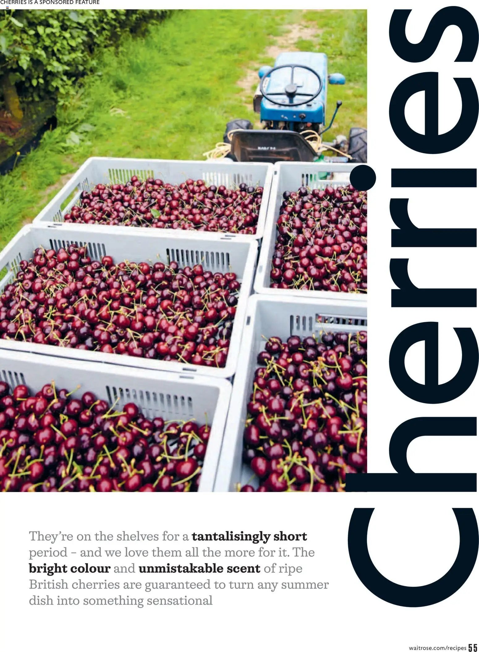 Waitrose - Offers