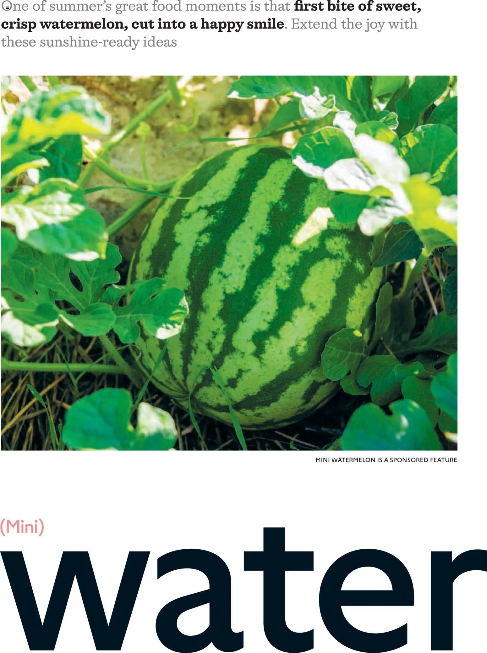 Waitrose - Offers