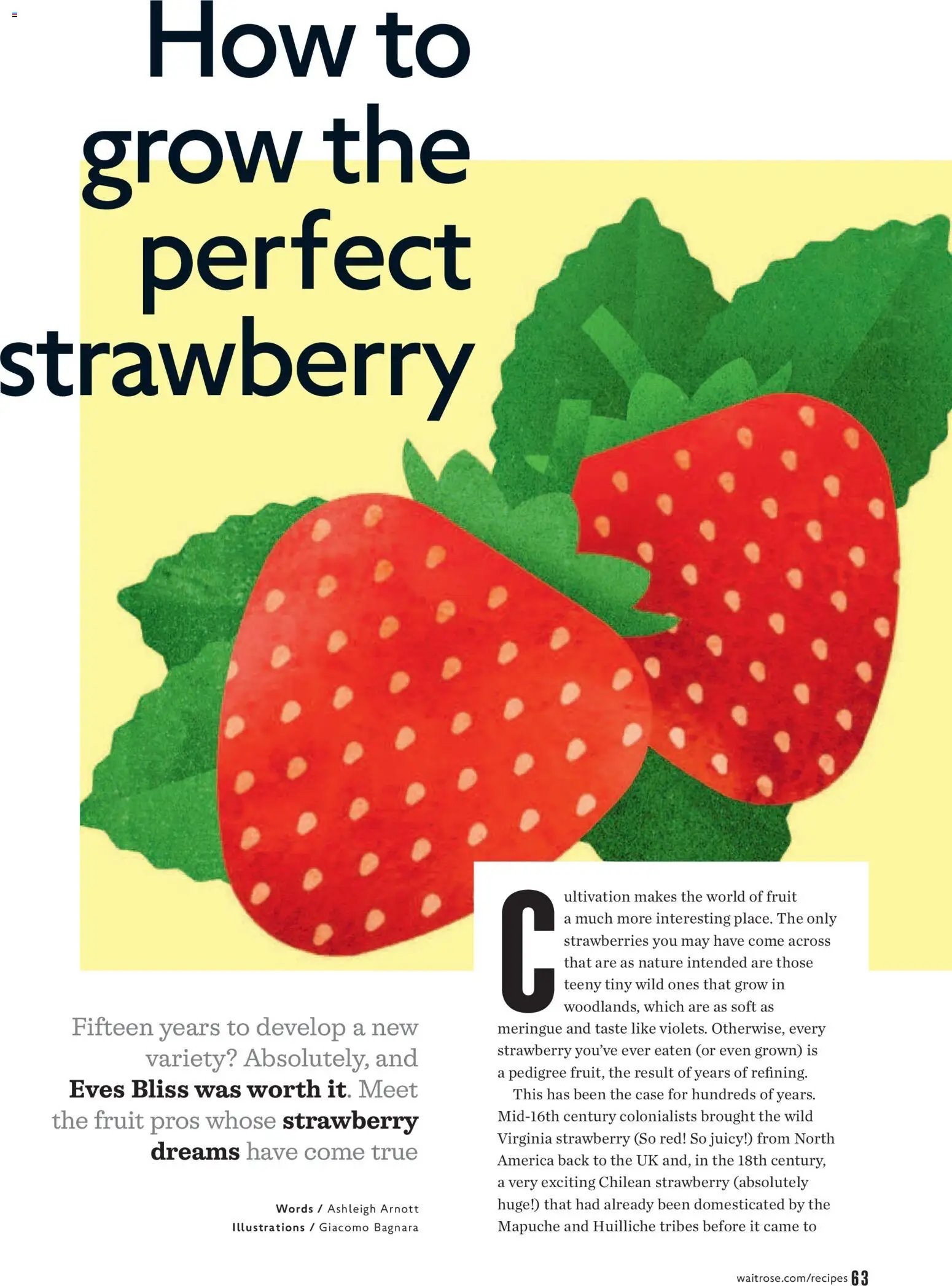 Waitrose - Offers