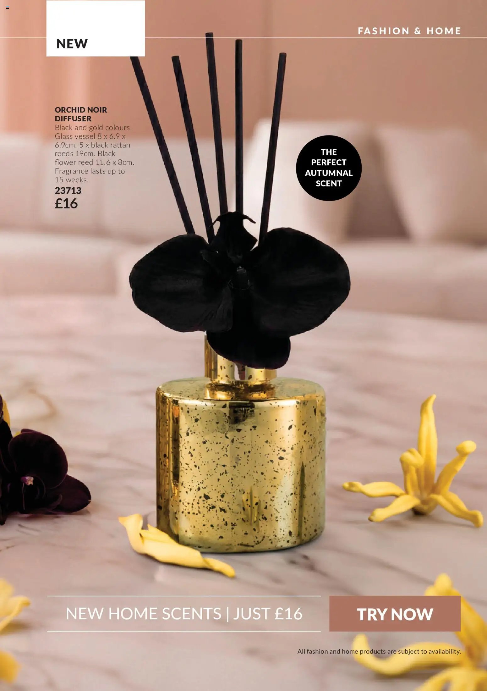 AVON - Offers
