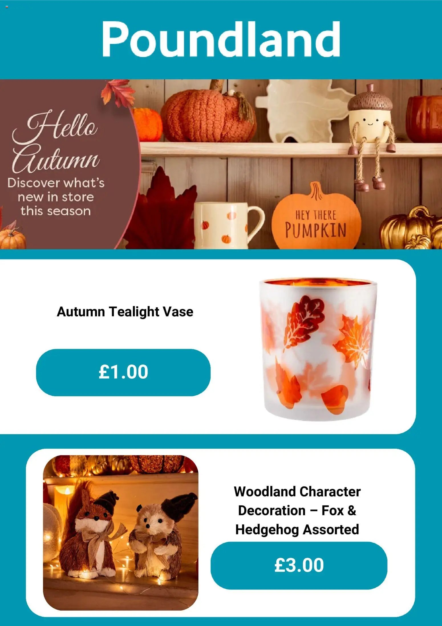 Poundland - Offers