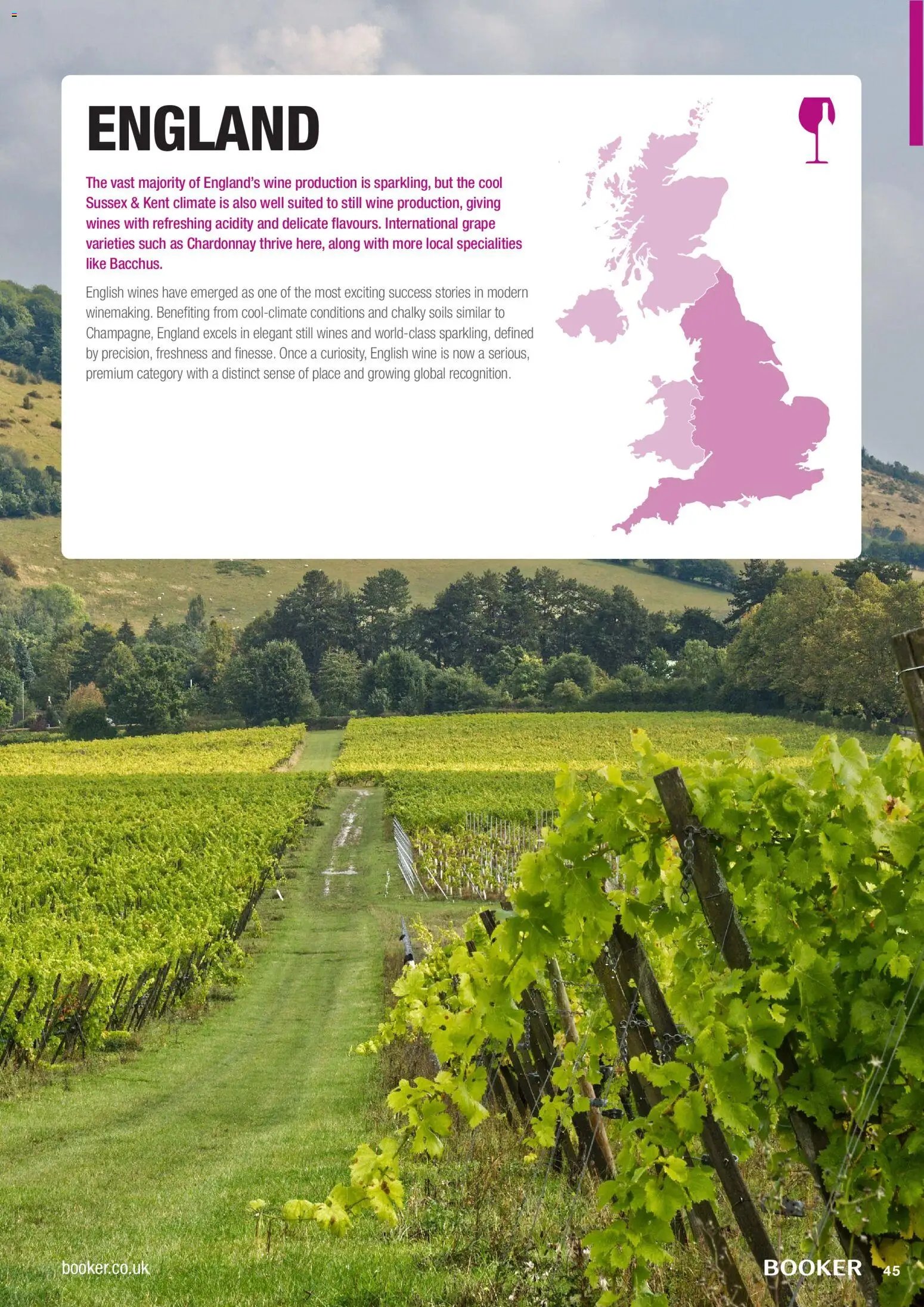 Booker Wholesale - Wine Guide