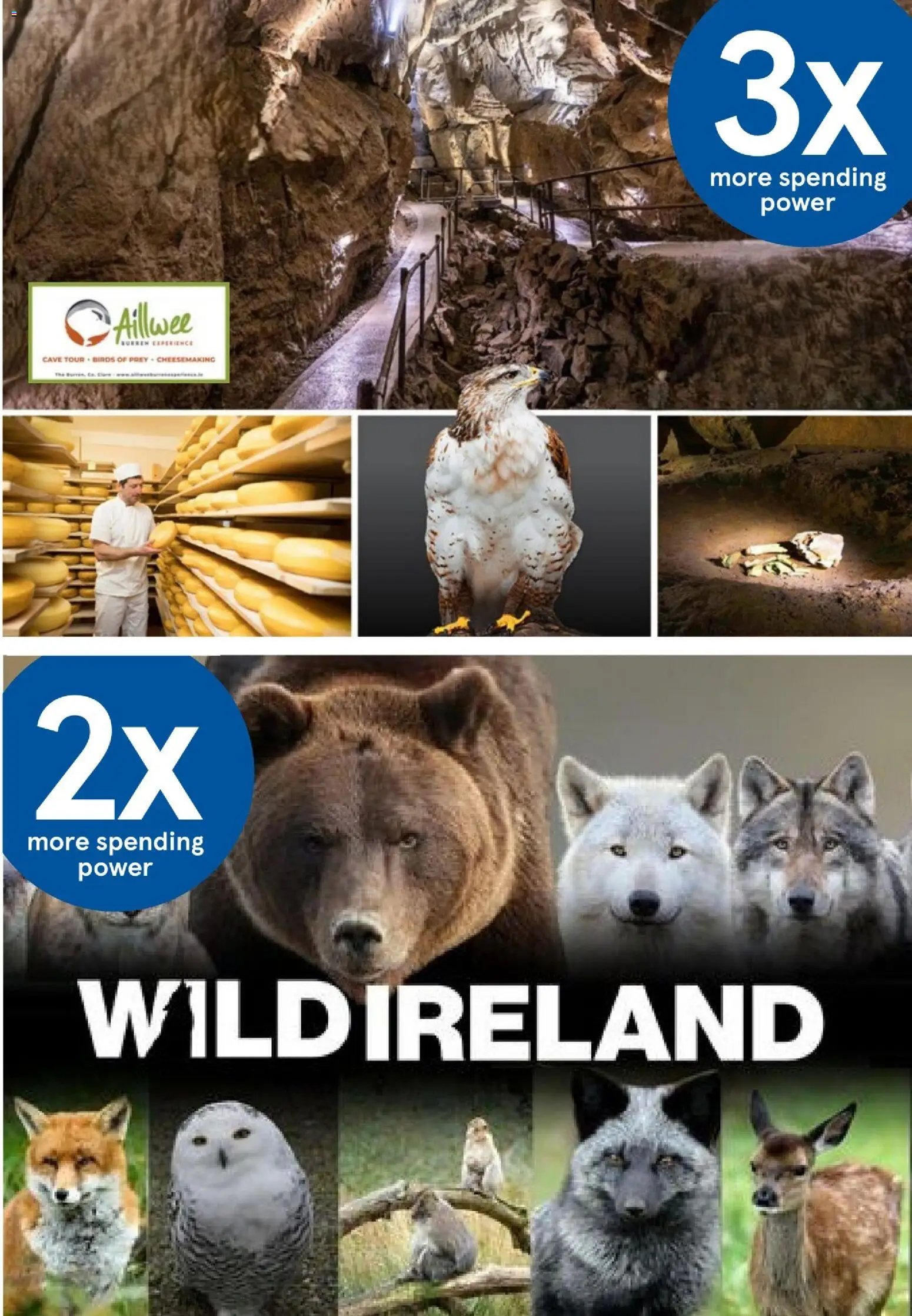Tesco -Clubcard Rewards Brochure