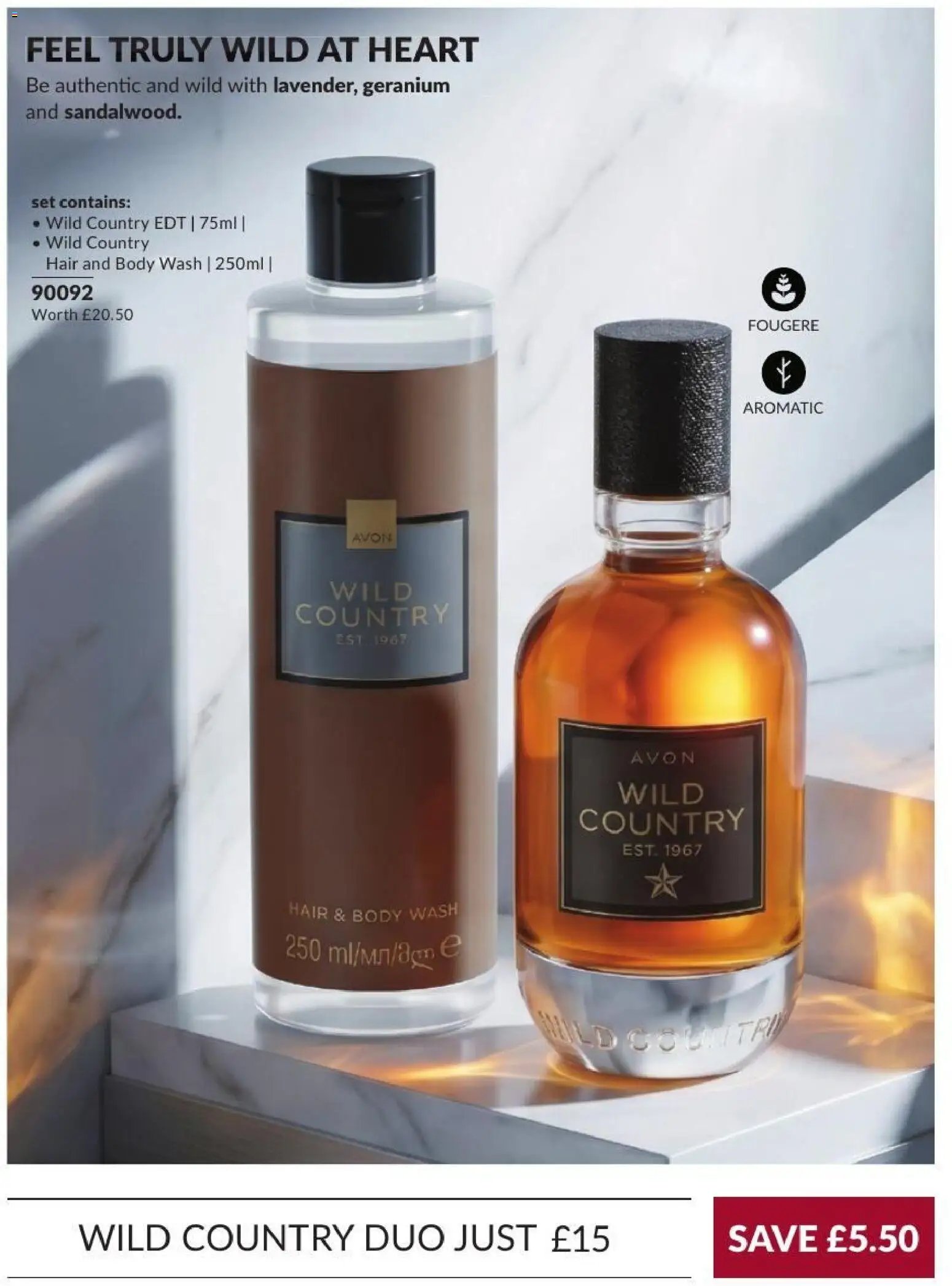AVON - Offers