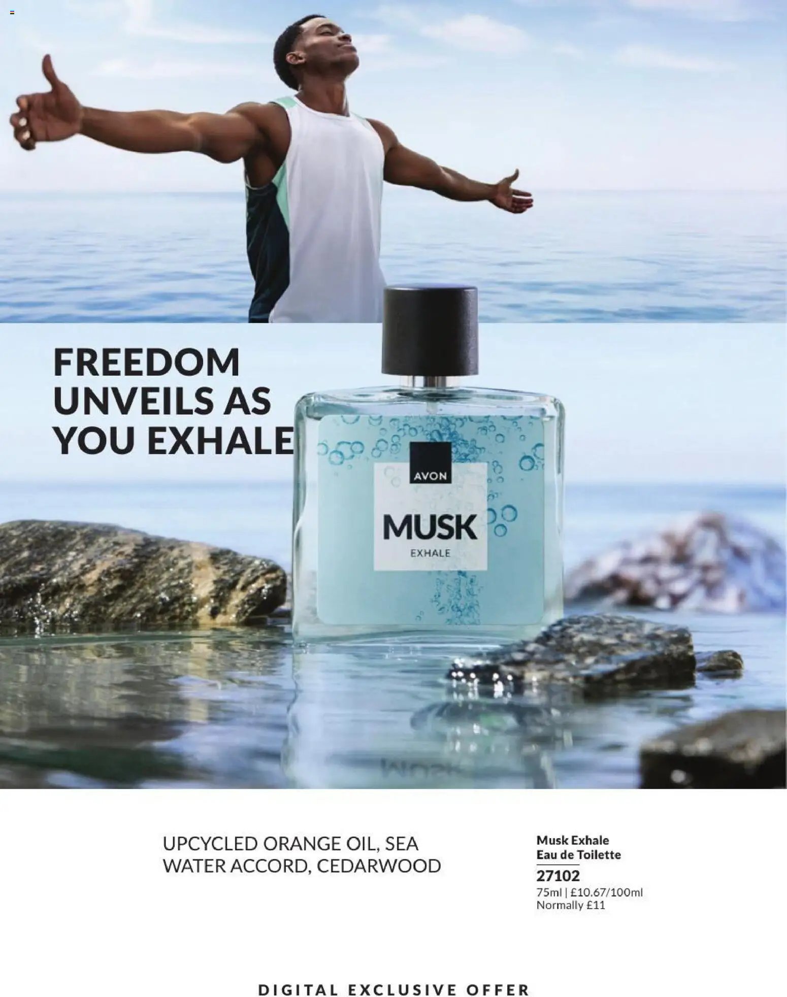AVON - Offers