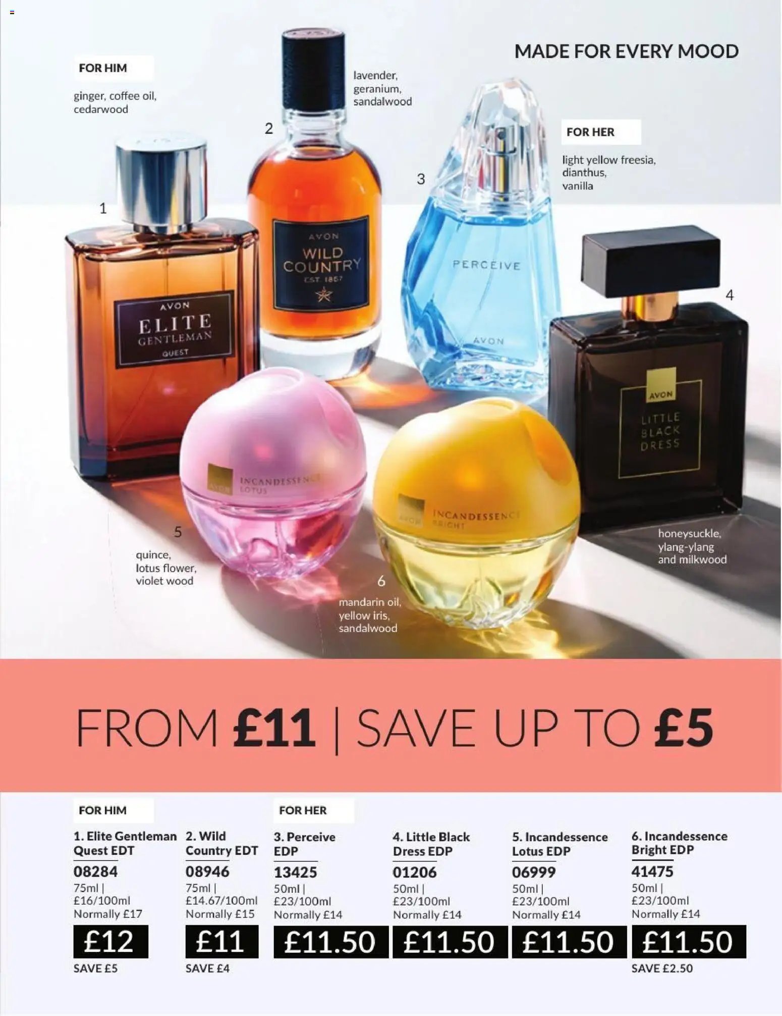 AVON - Offers