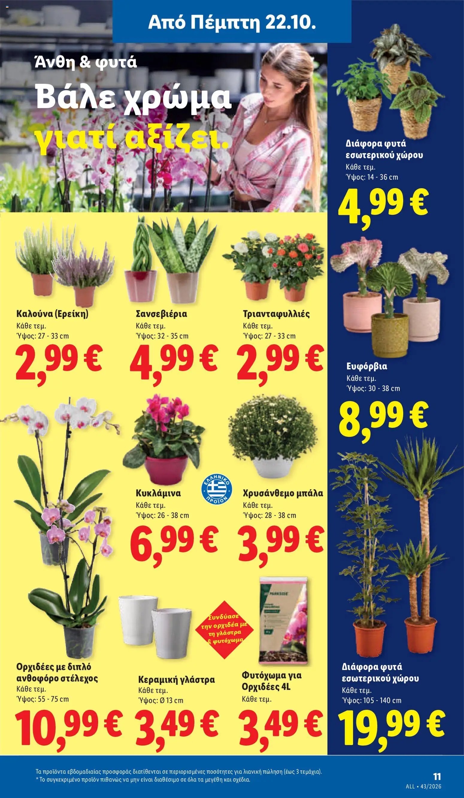 Lidl - Προσφορές