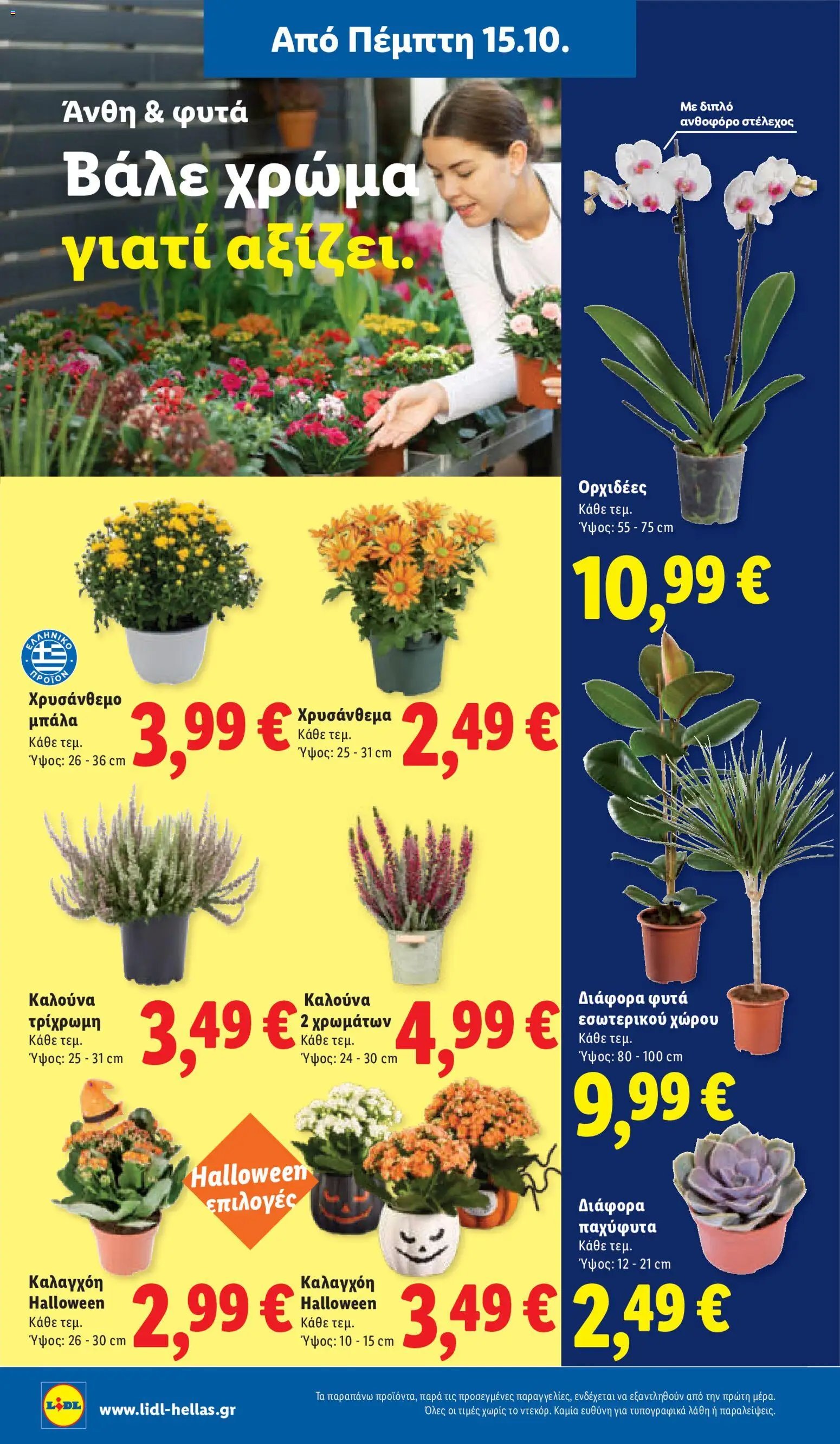 Lidl - Προσφορές