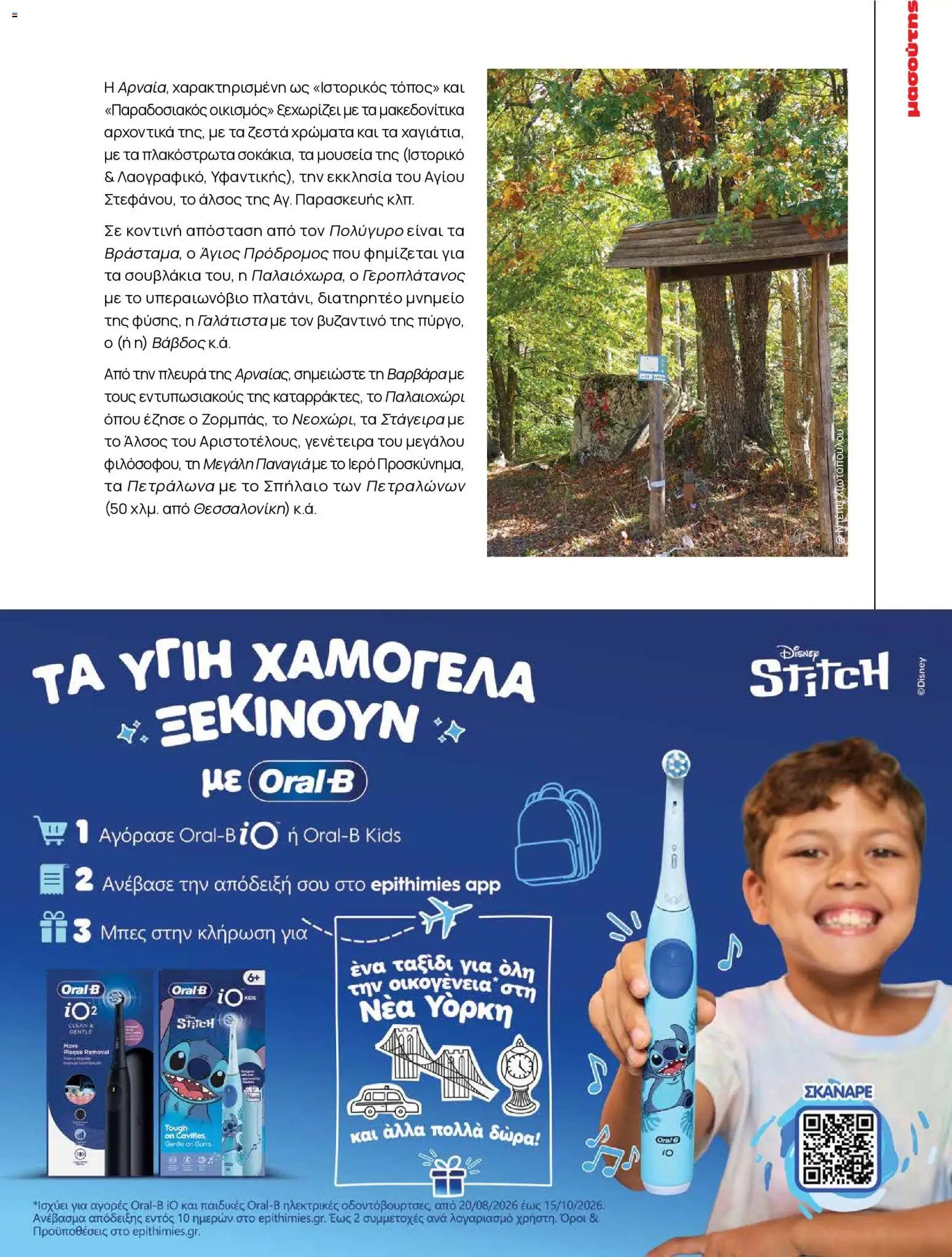 Μασούτης - Προσφορές Μασούτης - Φθινόπωρο - Γεύσεις & Εμπνεύσεις!