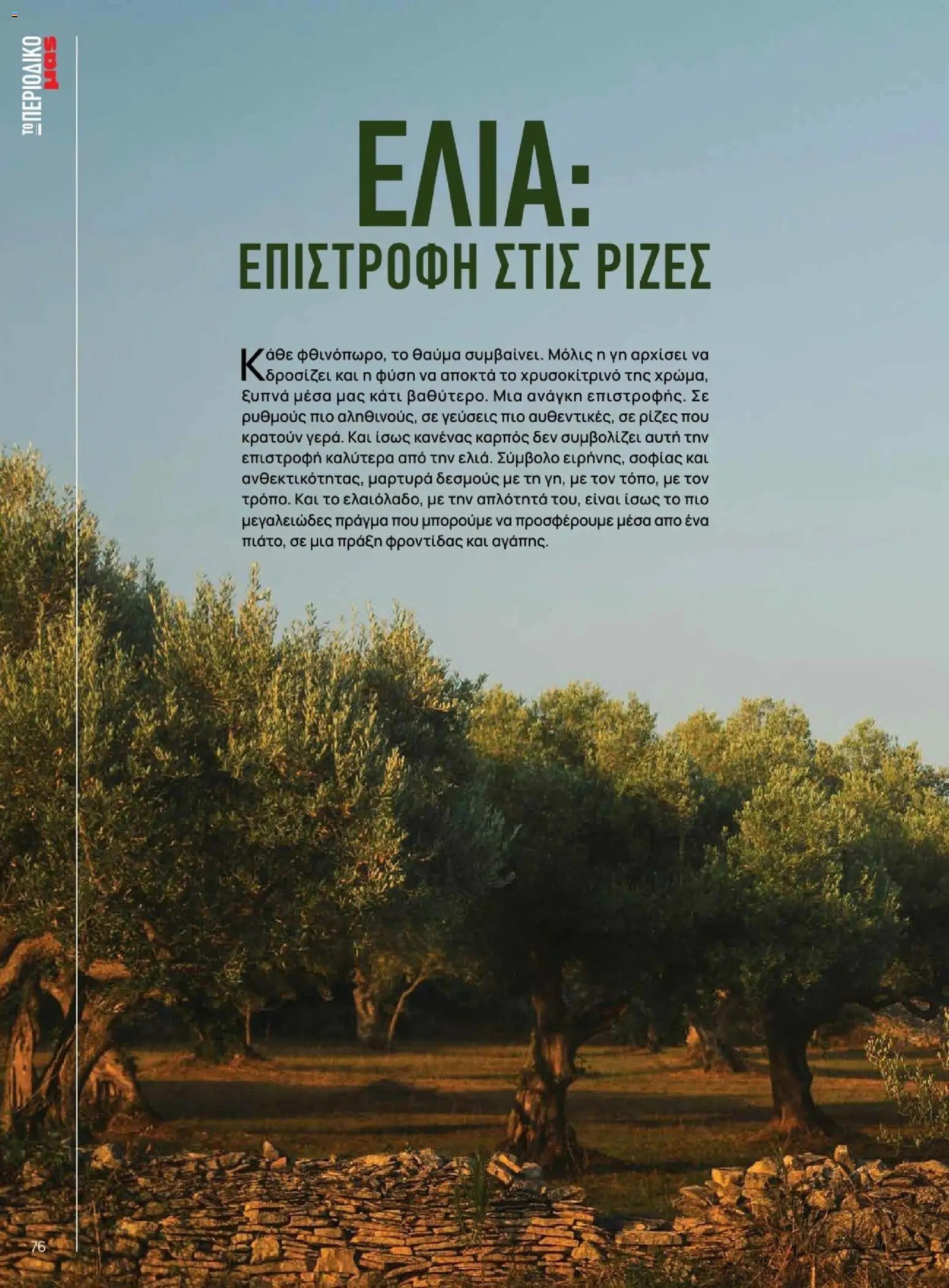 Μασούτης - Φθινόπωρο - Γεύσεις & εμπνεύσεις