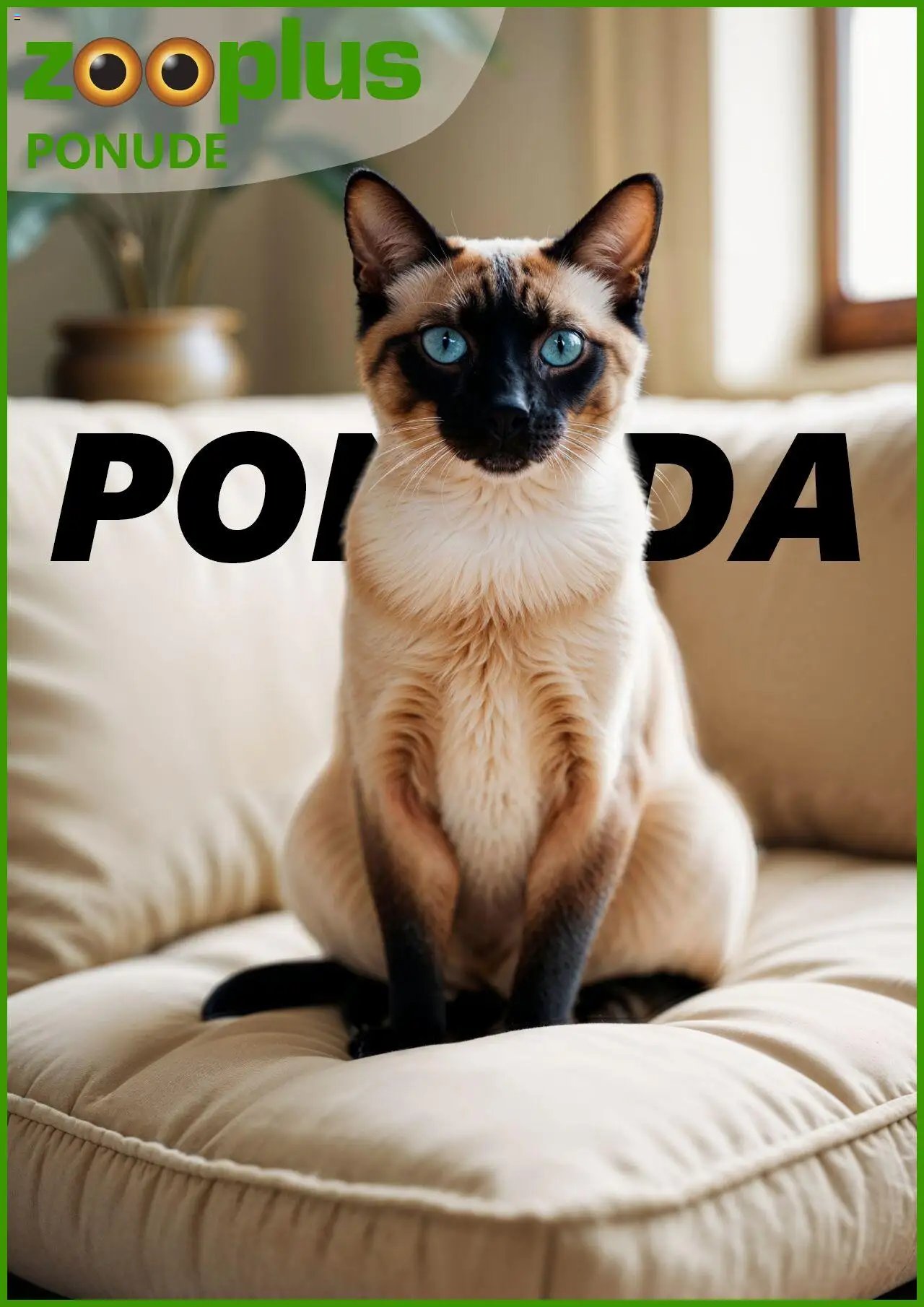 Katalog Zooplus