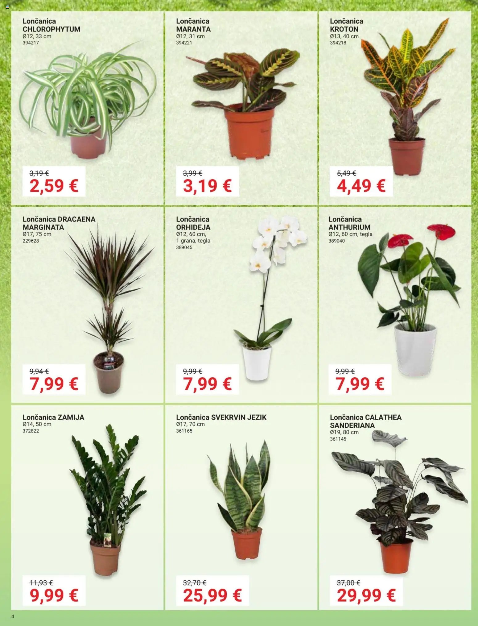 Pevex Katalog