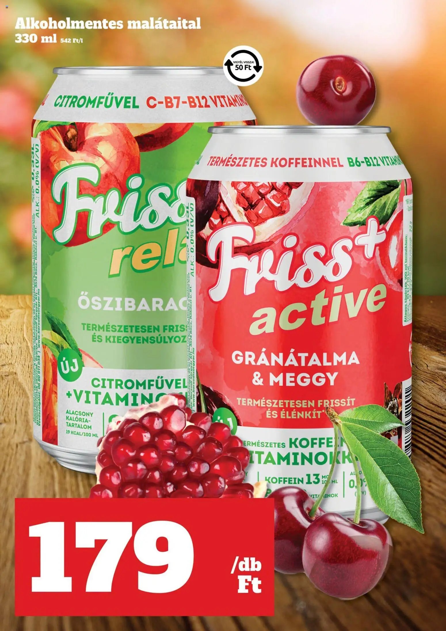 Family Diszkont akciós újság