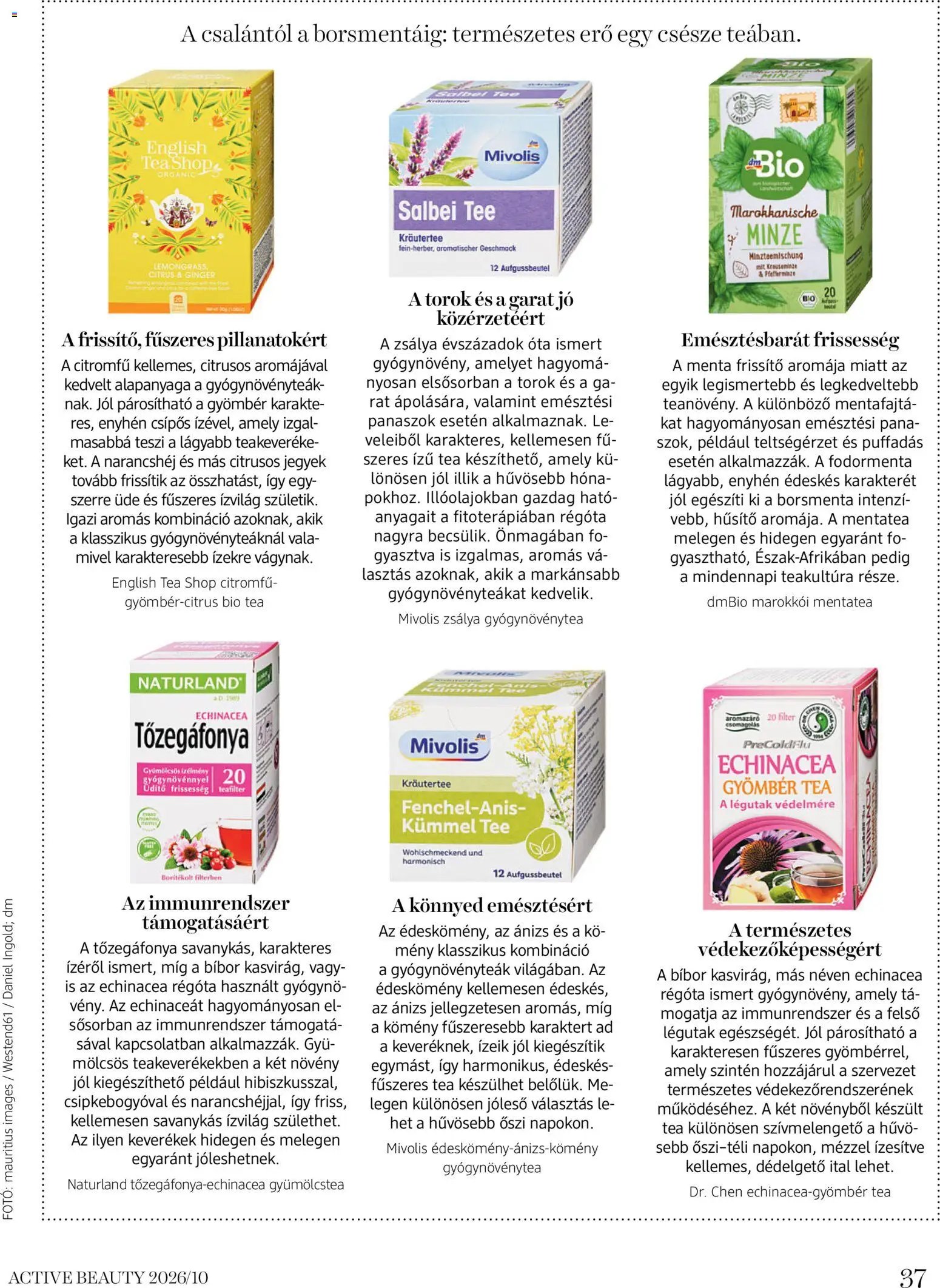 DM Drogerie Markt Active Beauty 2026/10